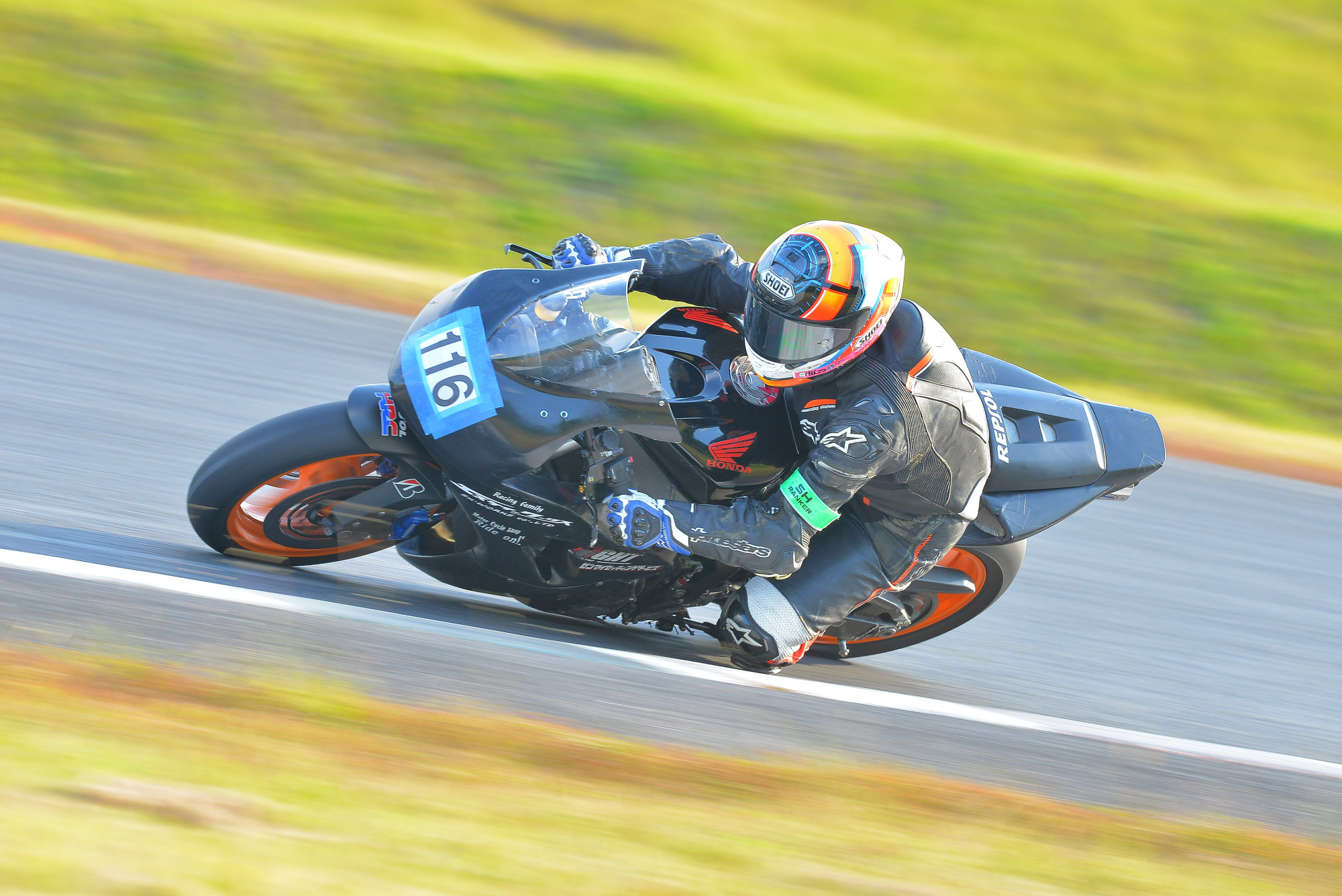 D8J_0531.JPG