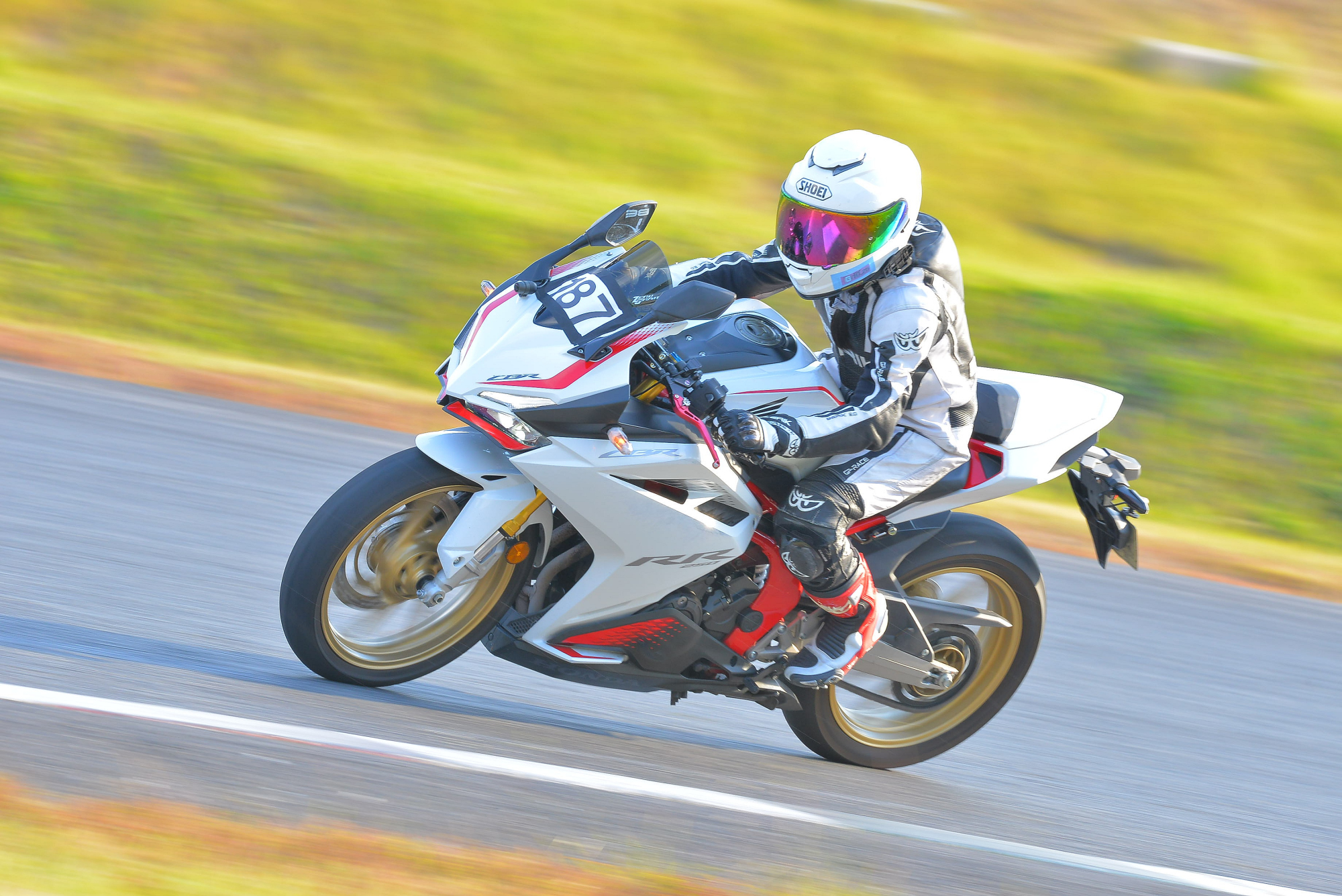 D8J_0544.JPG