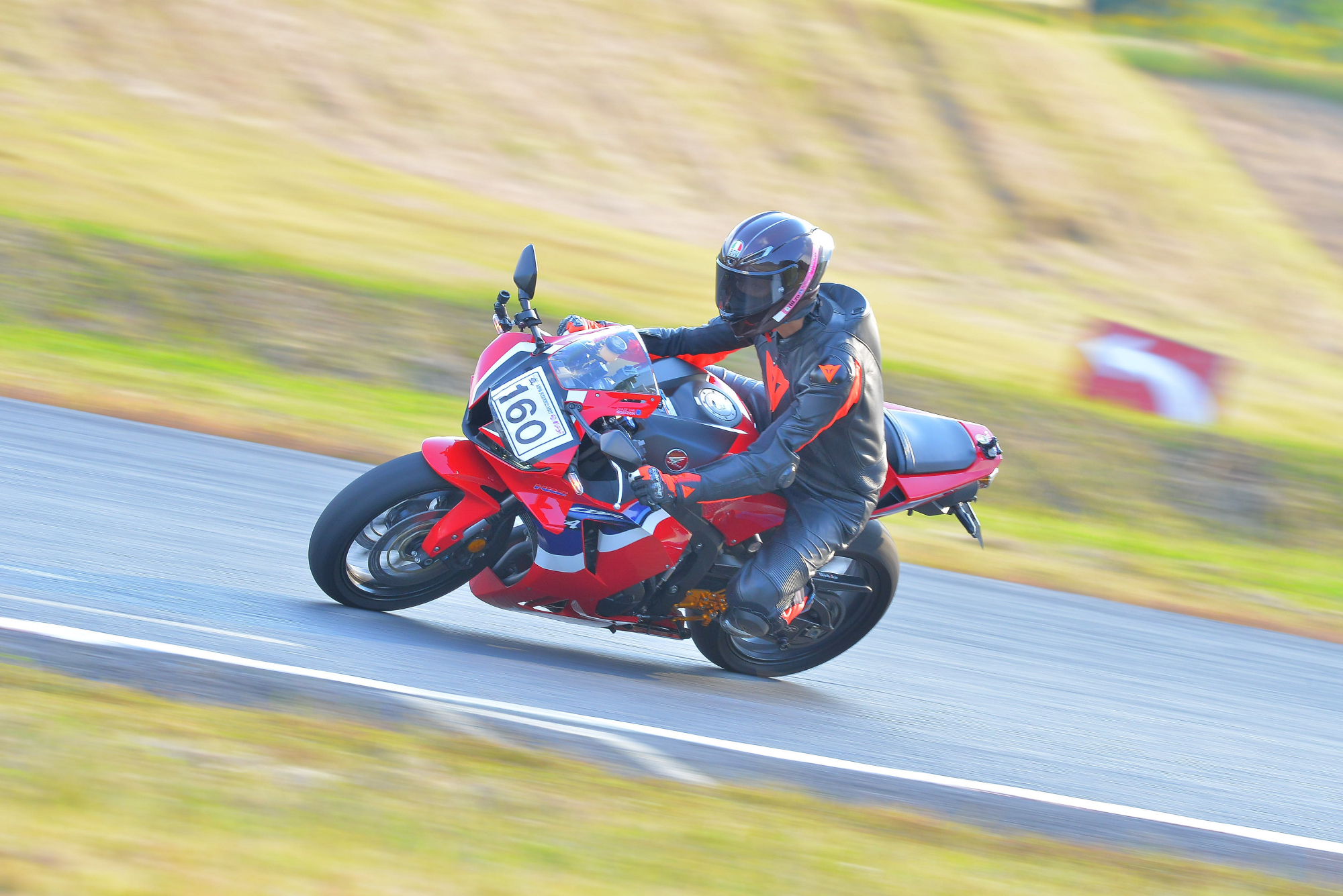 D8J_0564.JPG