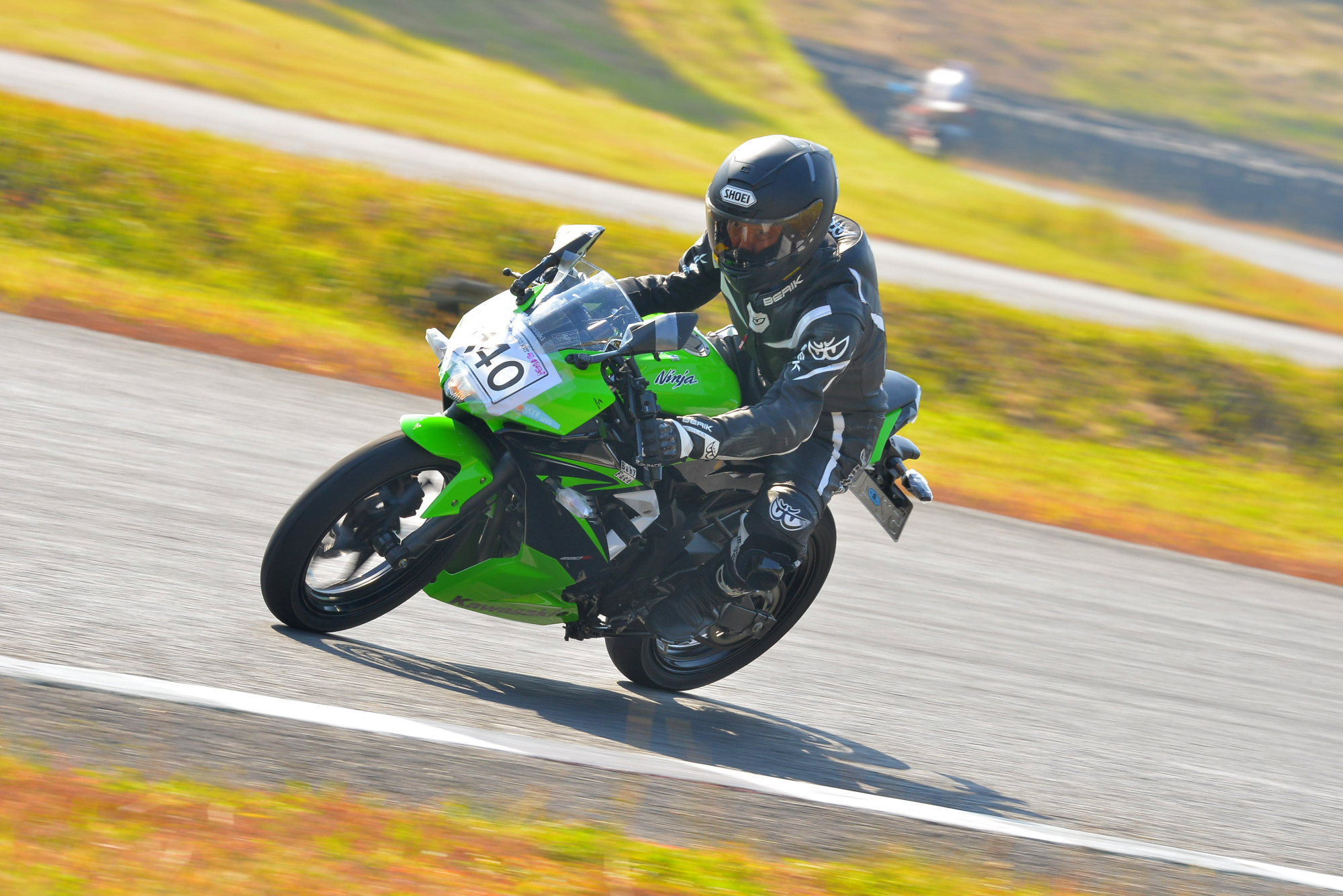 D8J_0004.JPG