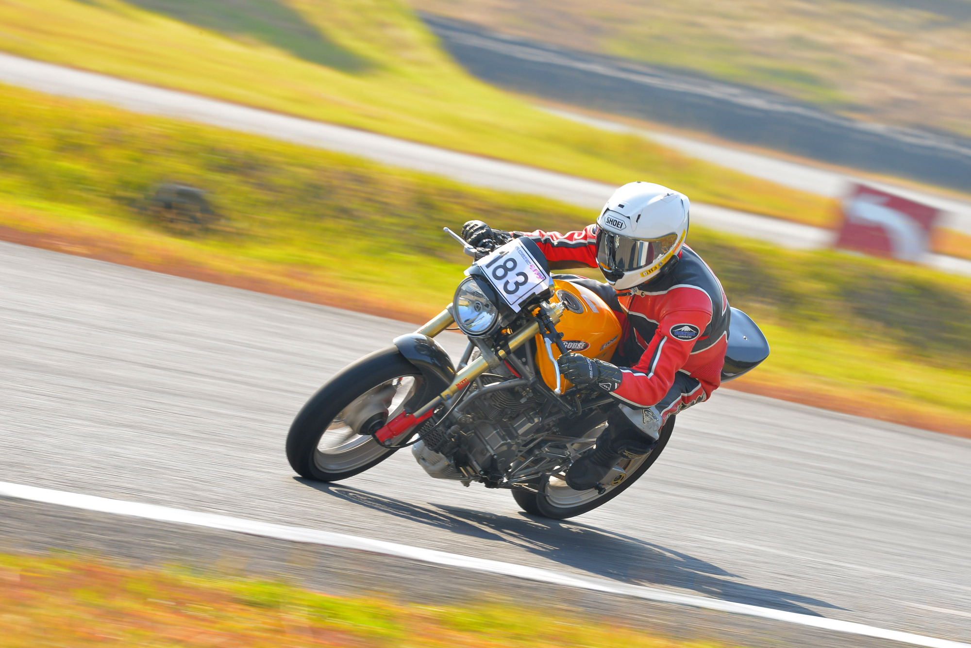 D8J_0022.JPG