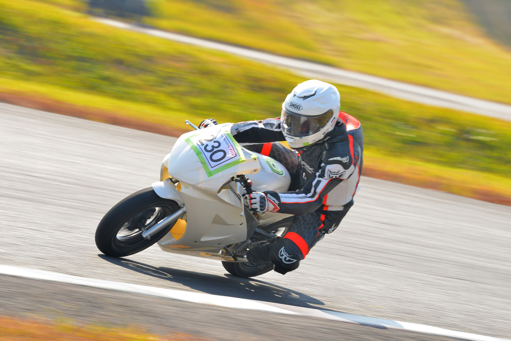 D8J_0030.JPG