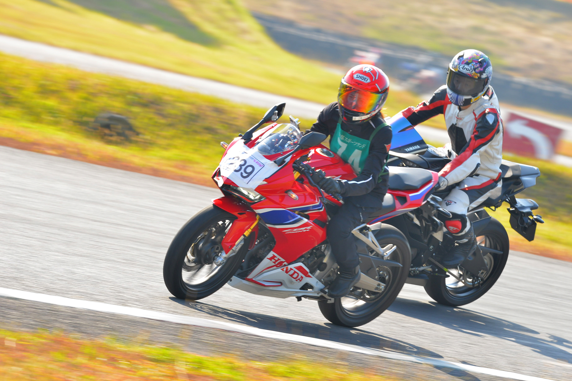 D8J_0032.JPG