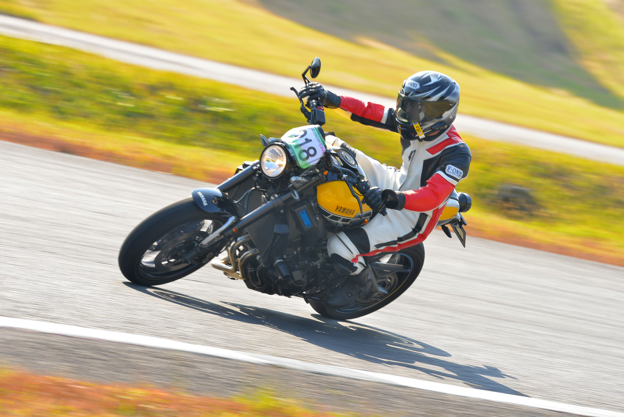 D8J_0043.JPG