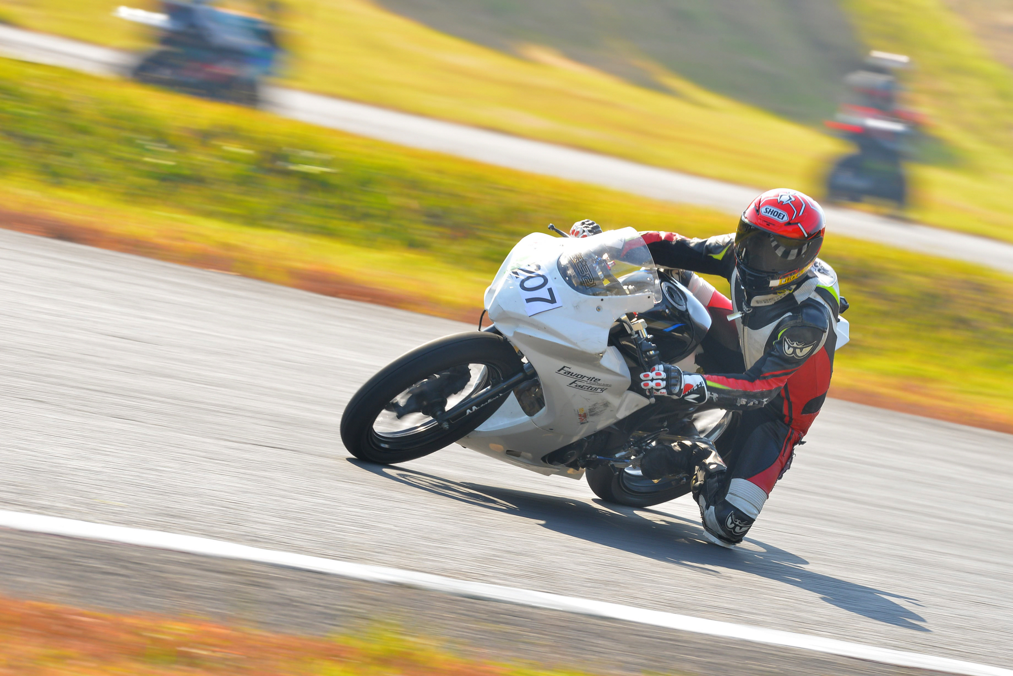 D8J_0060.JPG