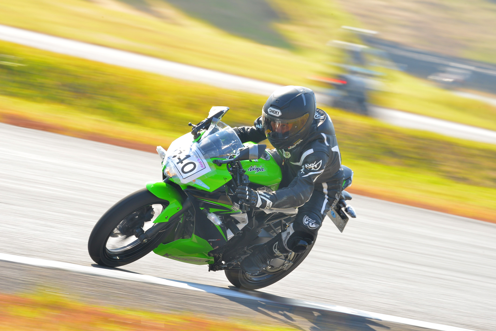D8J_0105.JPG