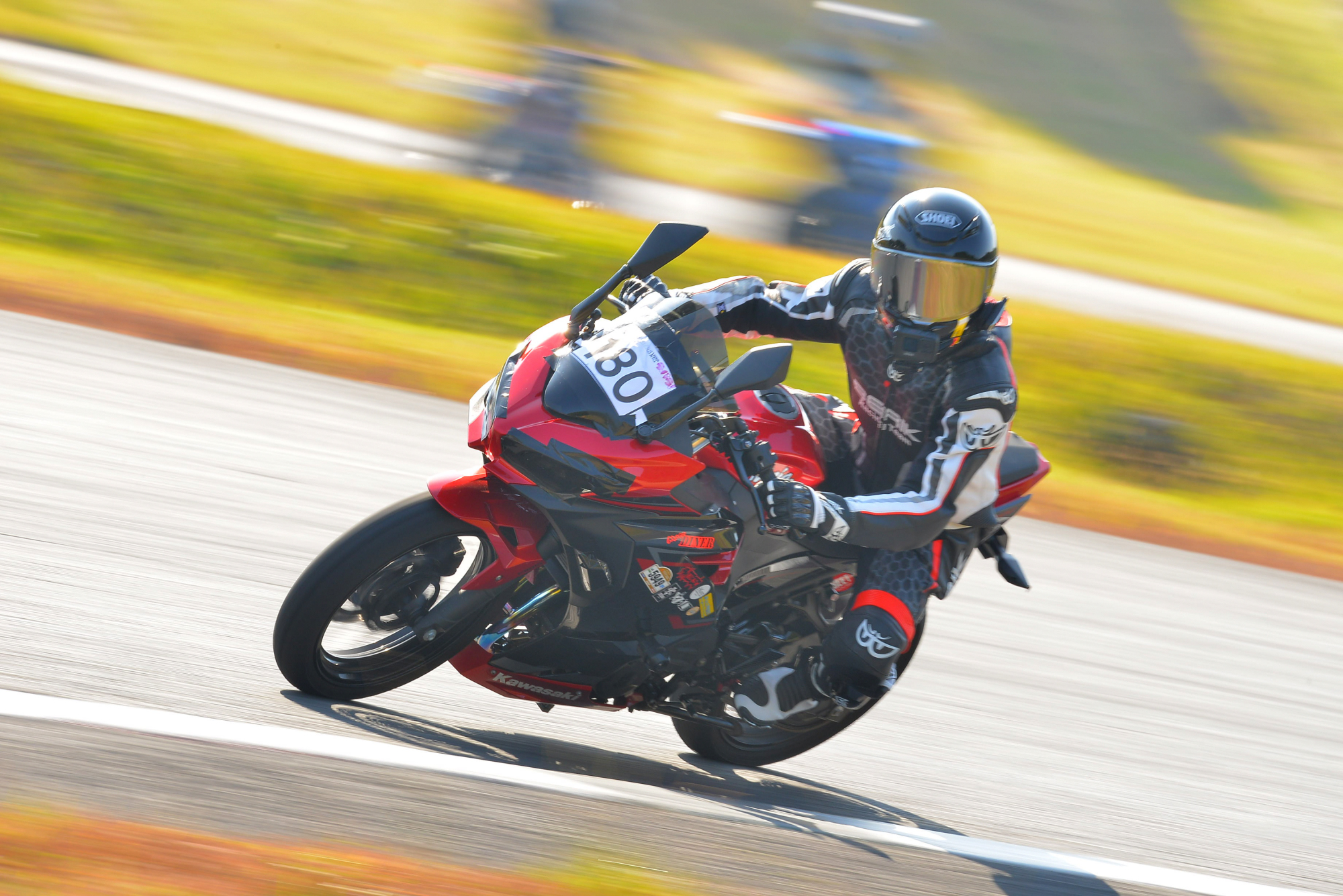 D8J_0133.JPG