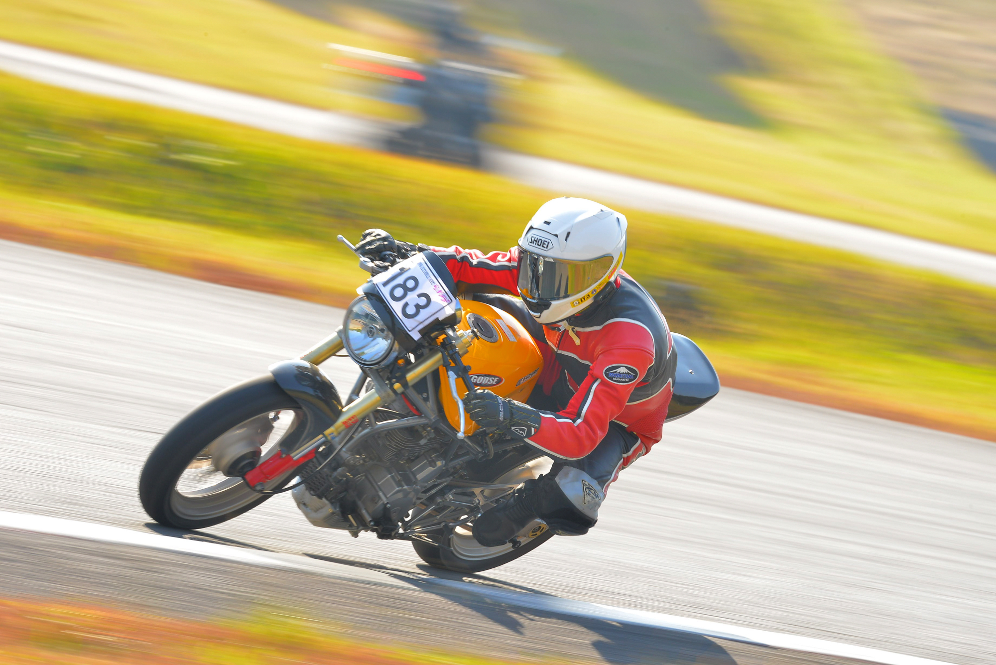 D8J_0136.JPG