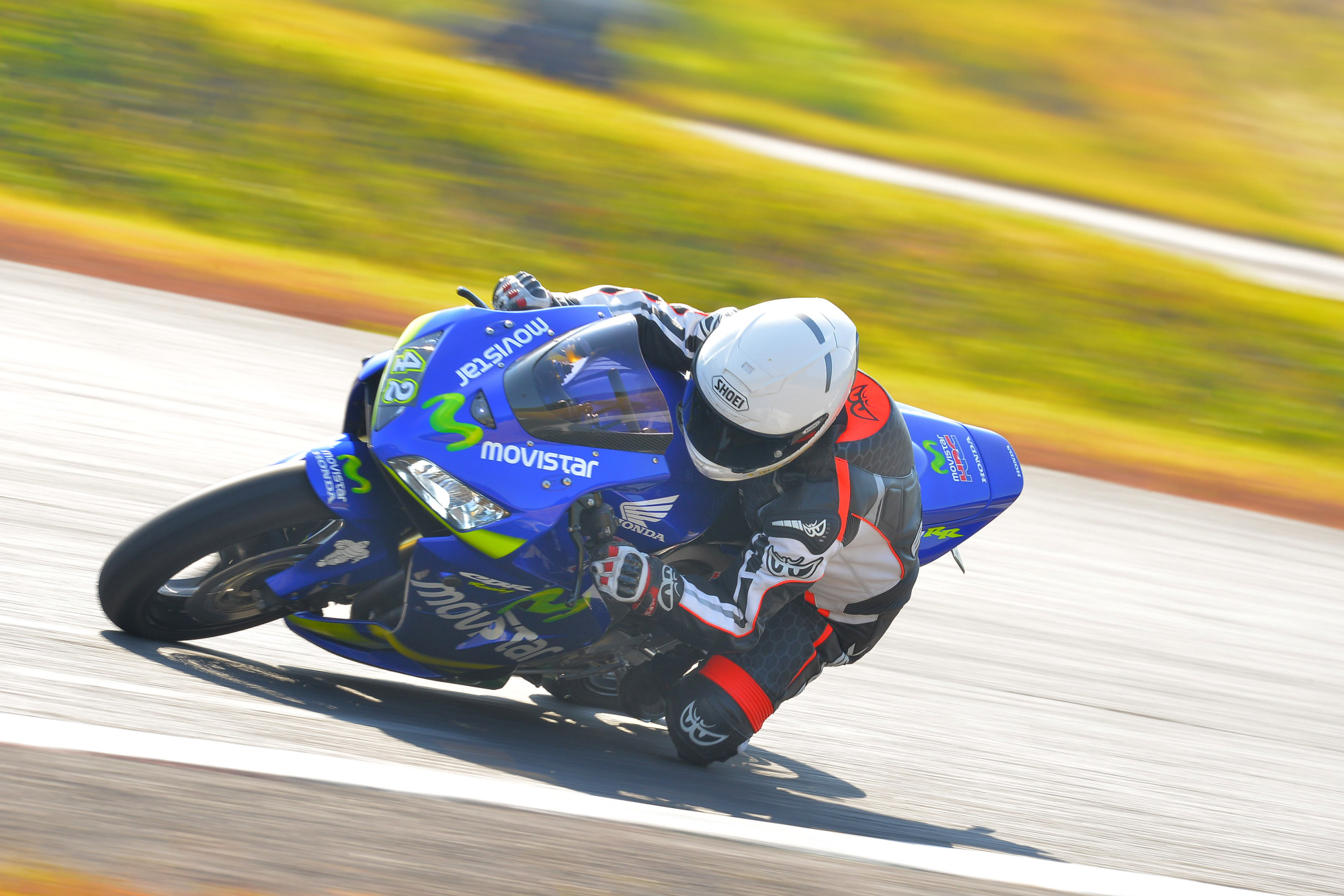 D8J_0139.JPG