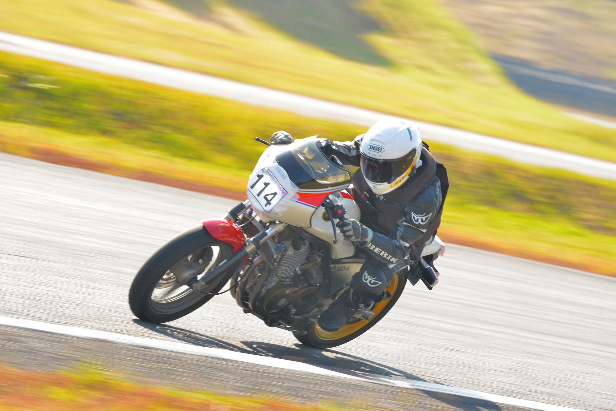 D8J_0142.JPG