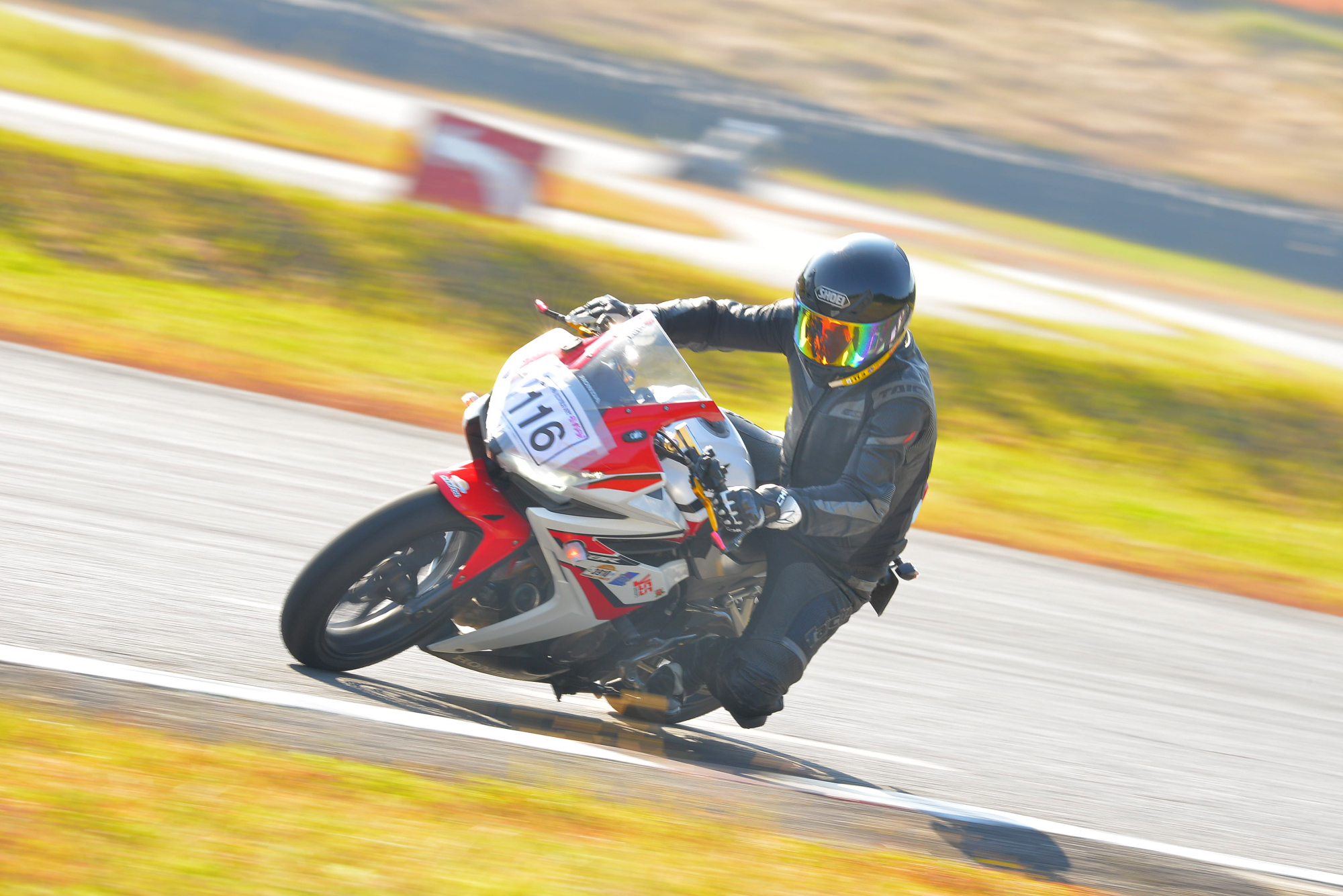 D8J_0209.JPG