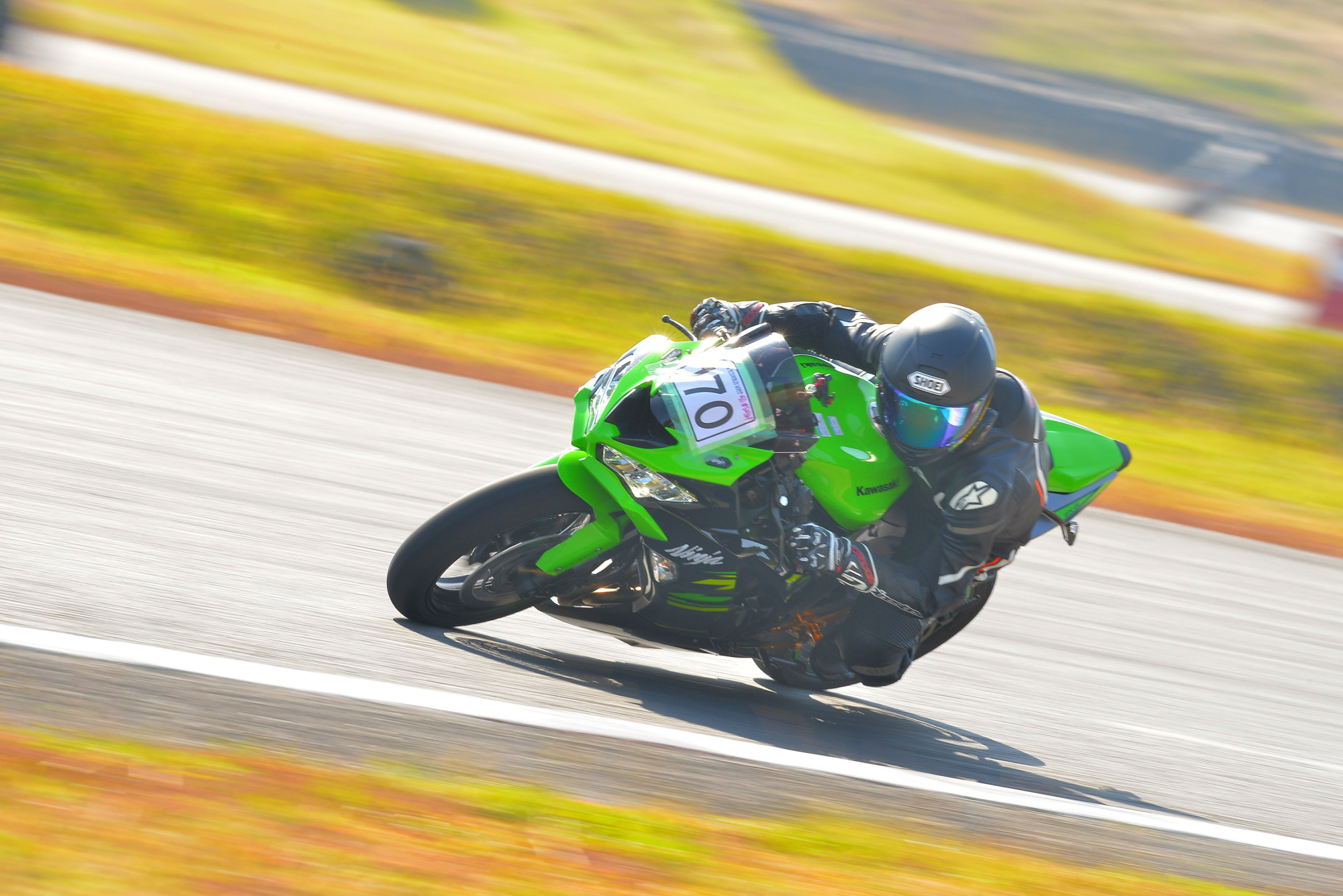 D8J_0219.JPG