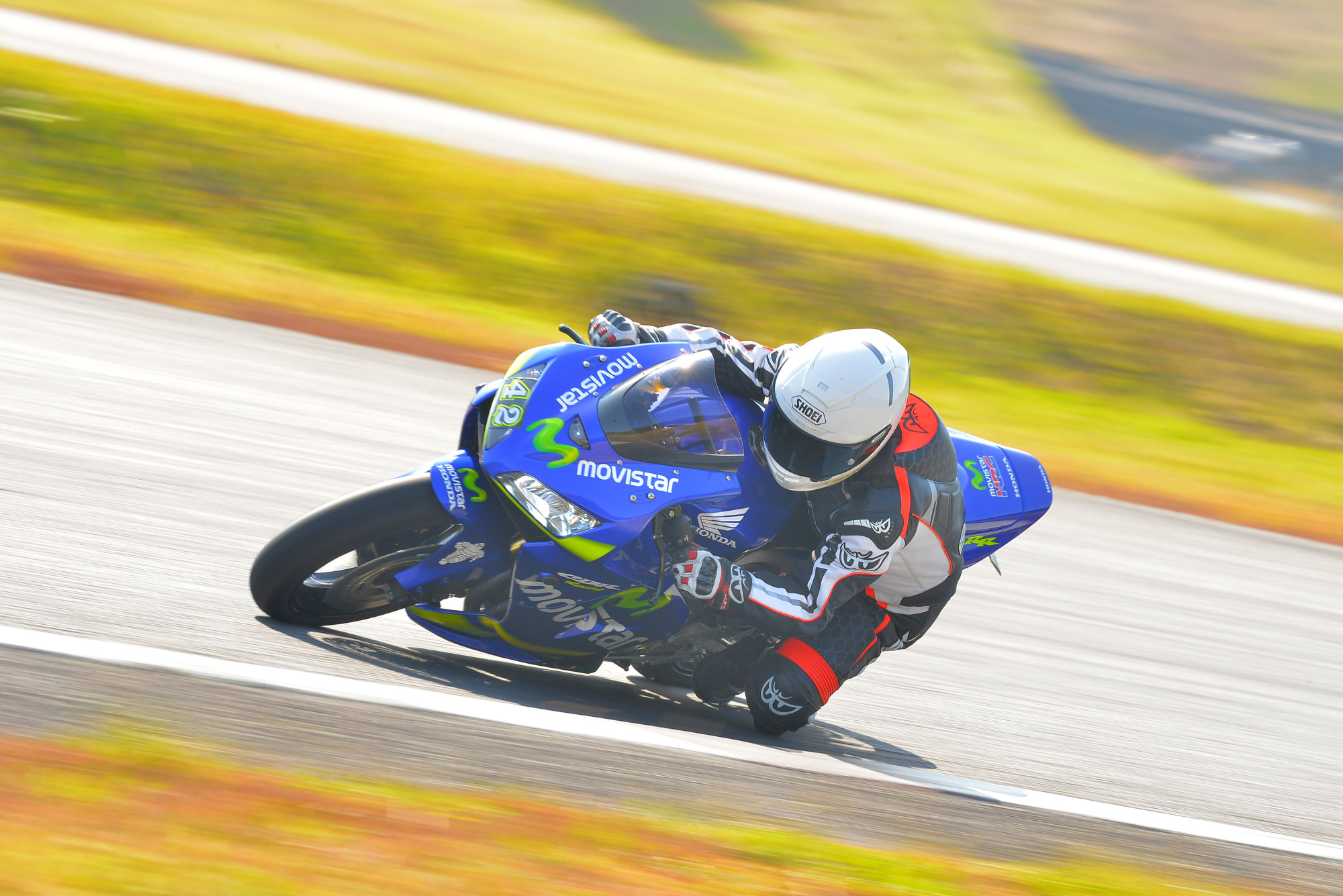 D8J_0220.JPG