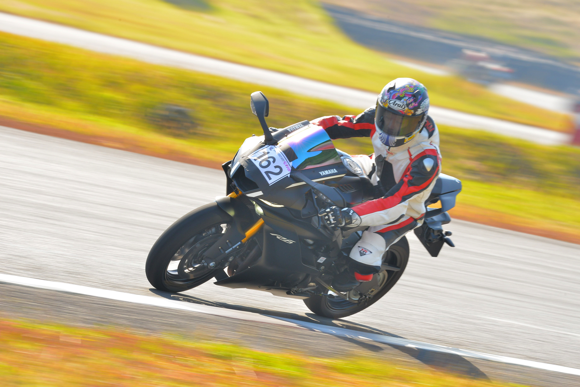 D8J_0223.JPG
