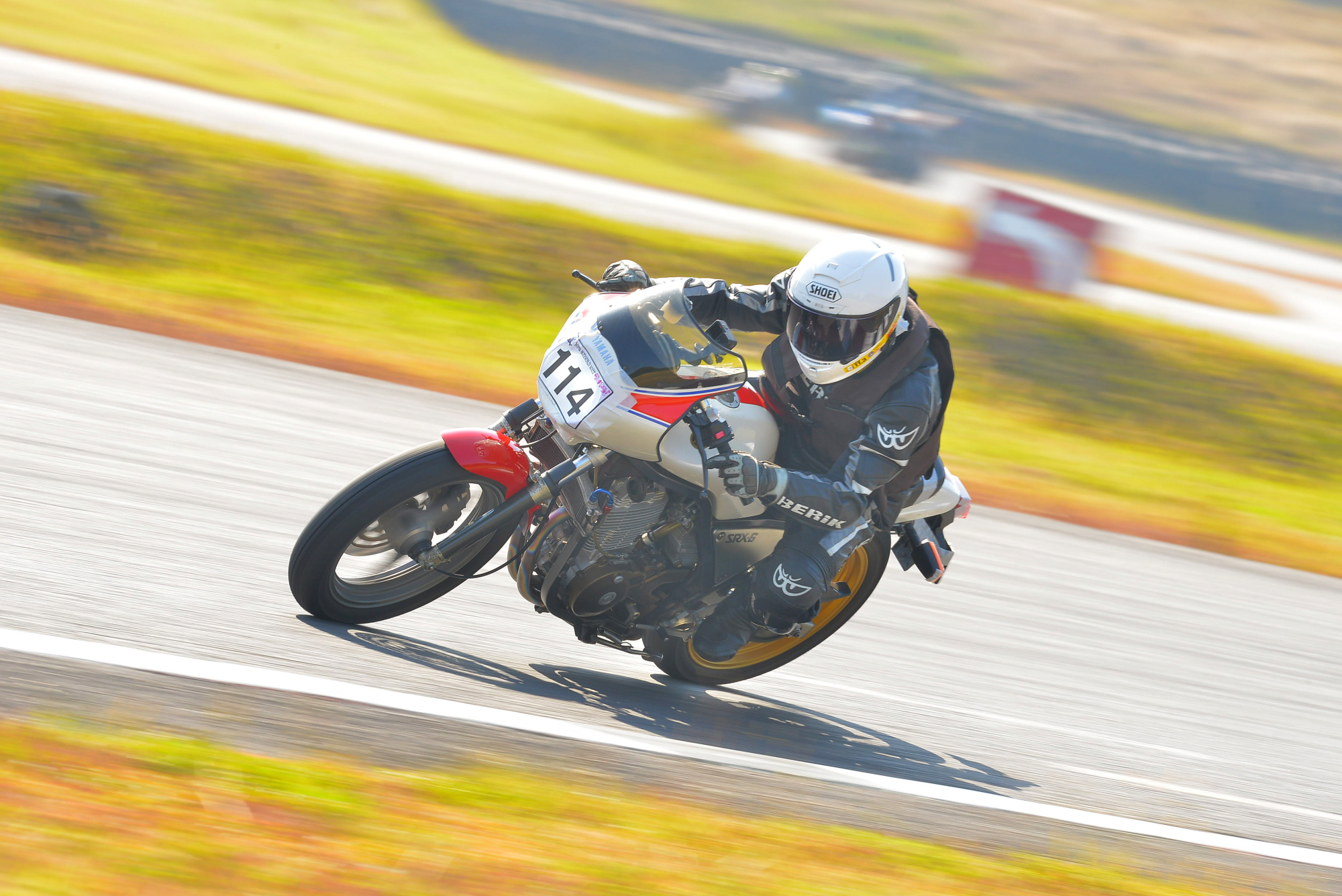 D8J_0231.JPG