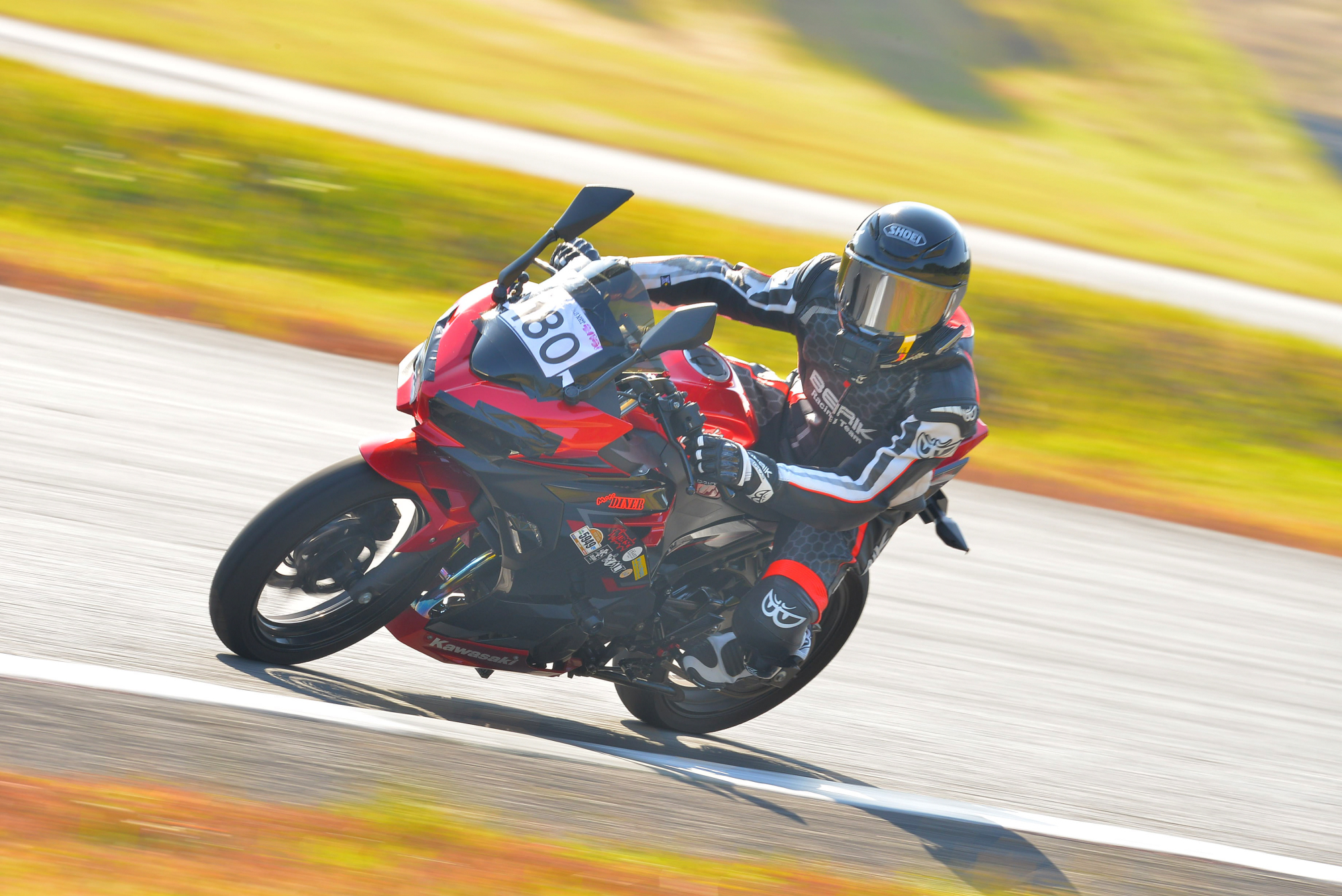 D8J_0245.JPG