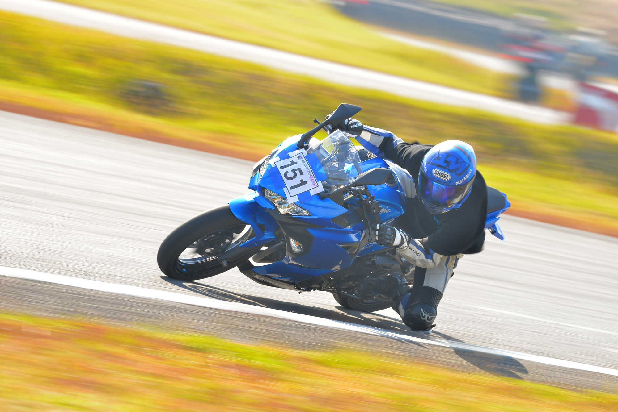 D8J_0249.JPG