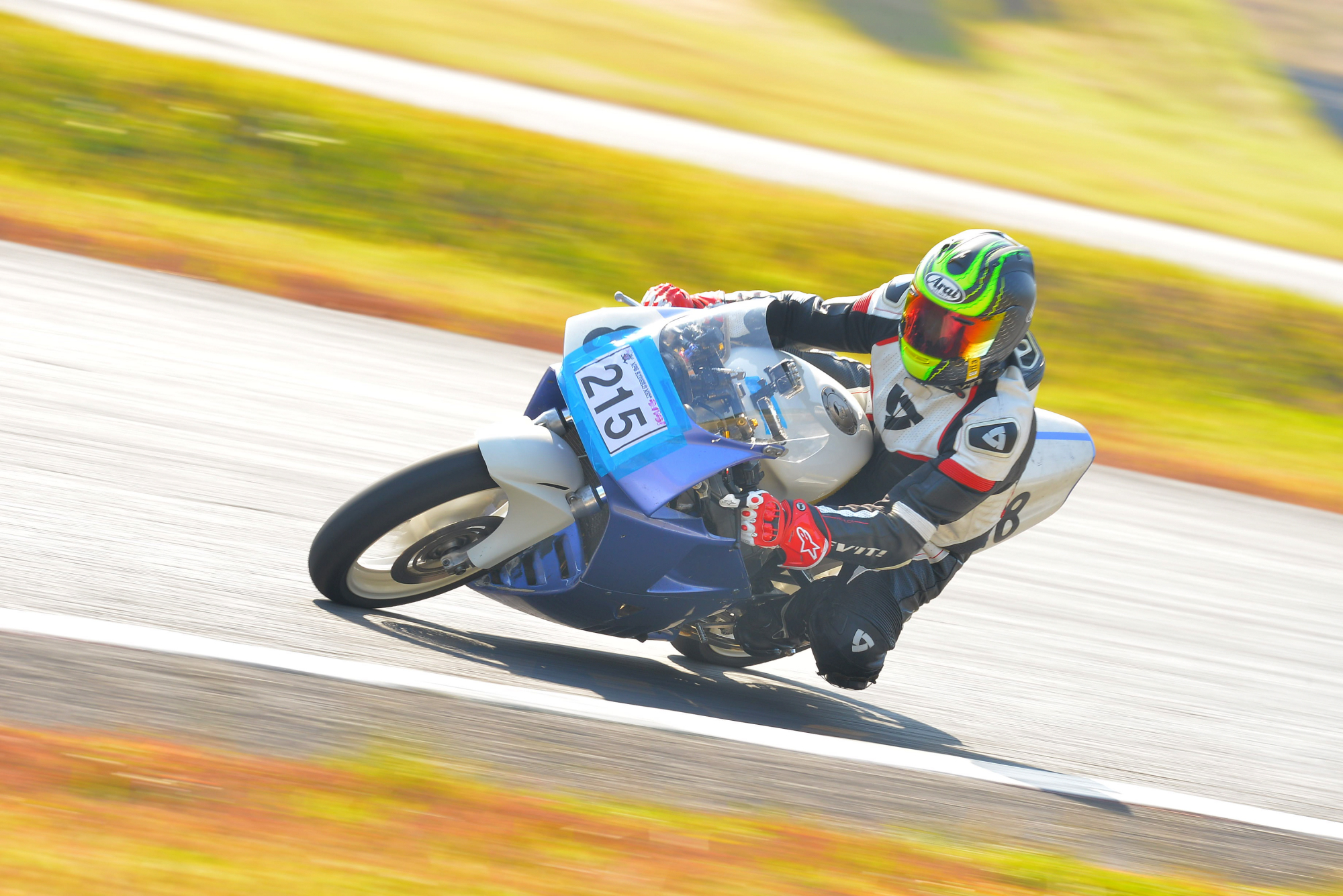 D8J_0264.JPG