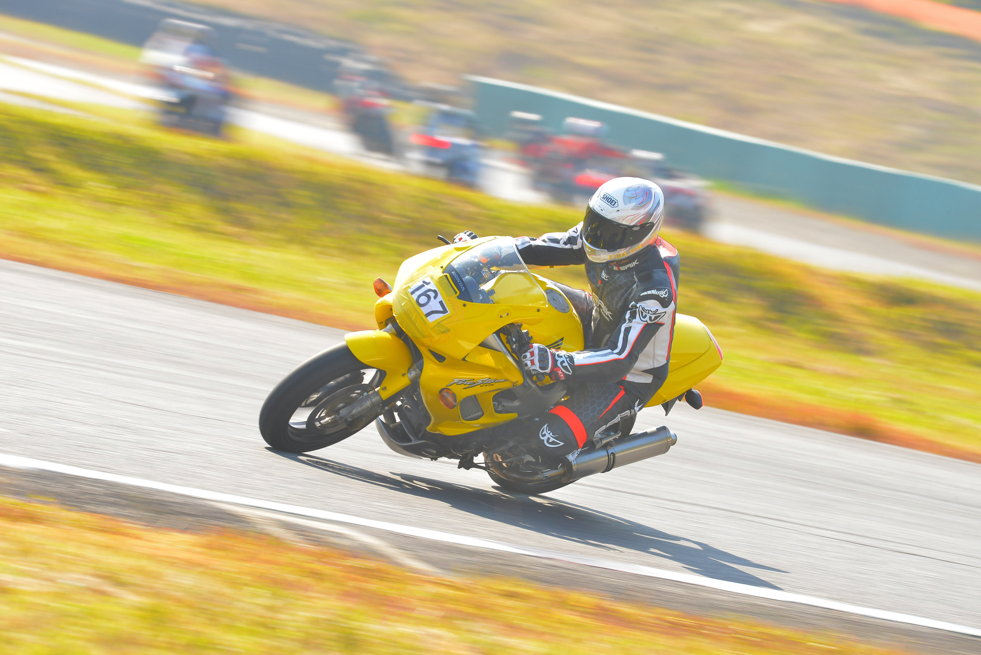 D8J_0297.JPG