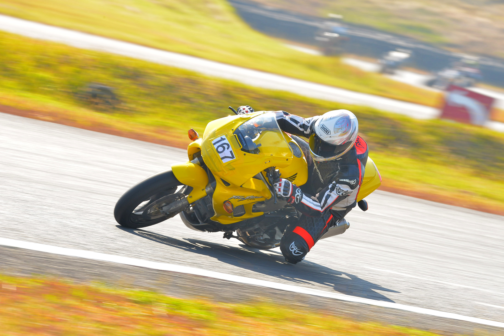 D8J_0343.JPG