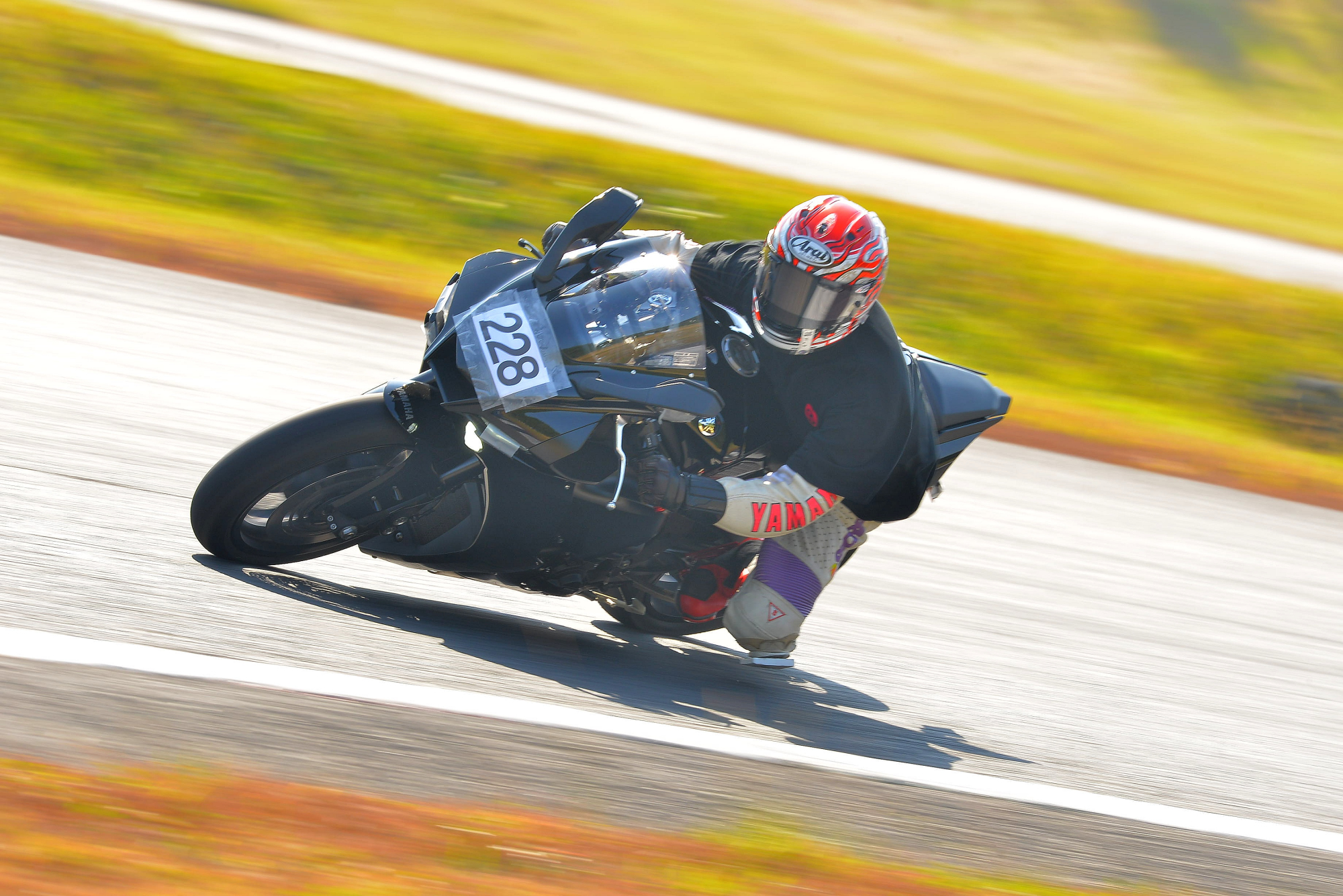 D8J_0382.JPG