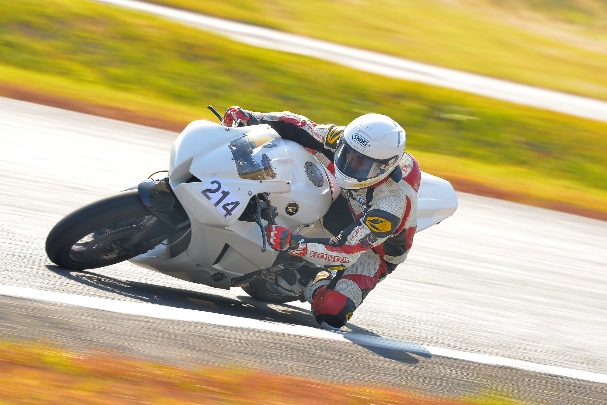 D8J_0384.JPG