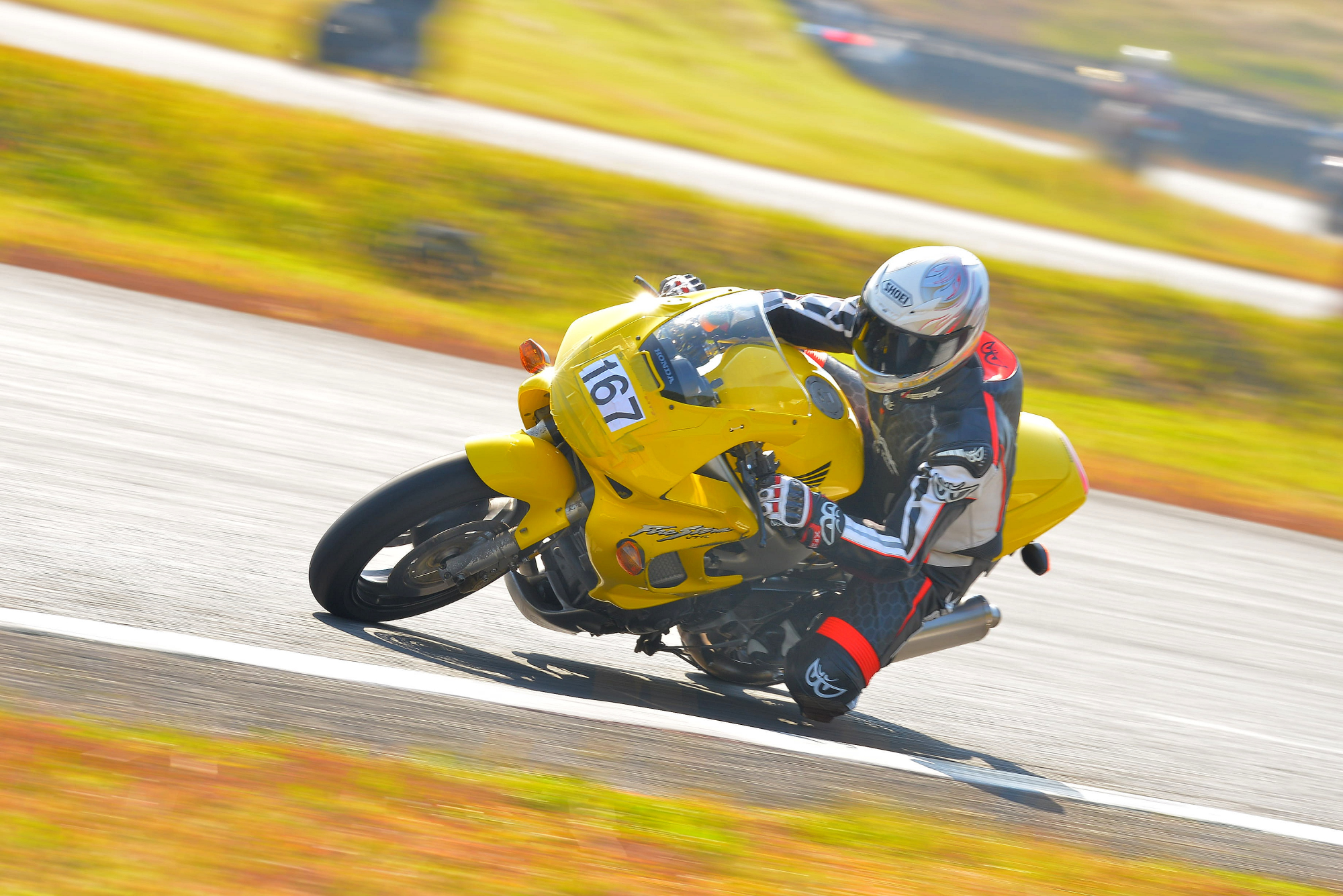 D8J_0385.JPG