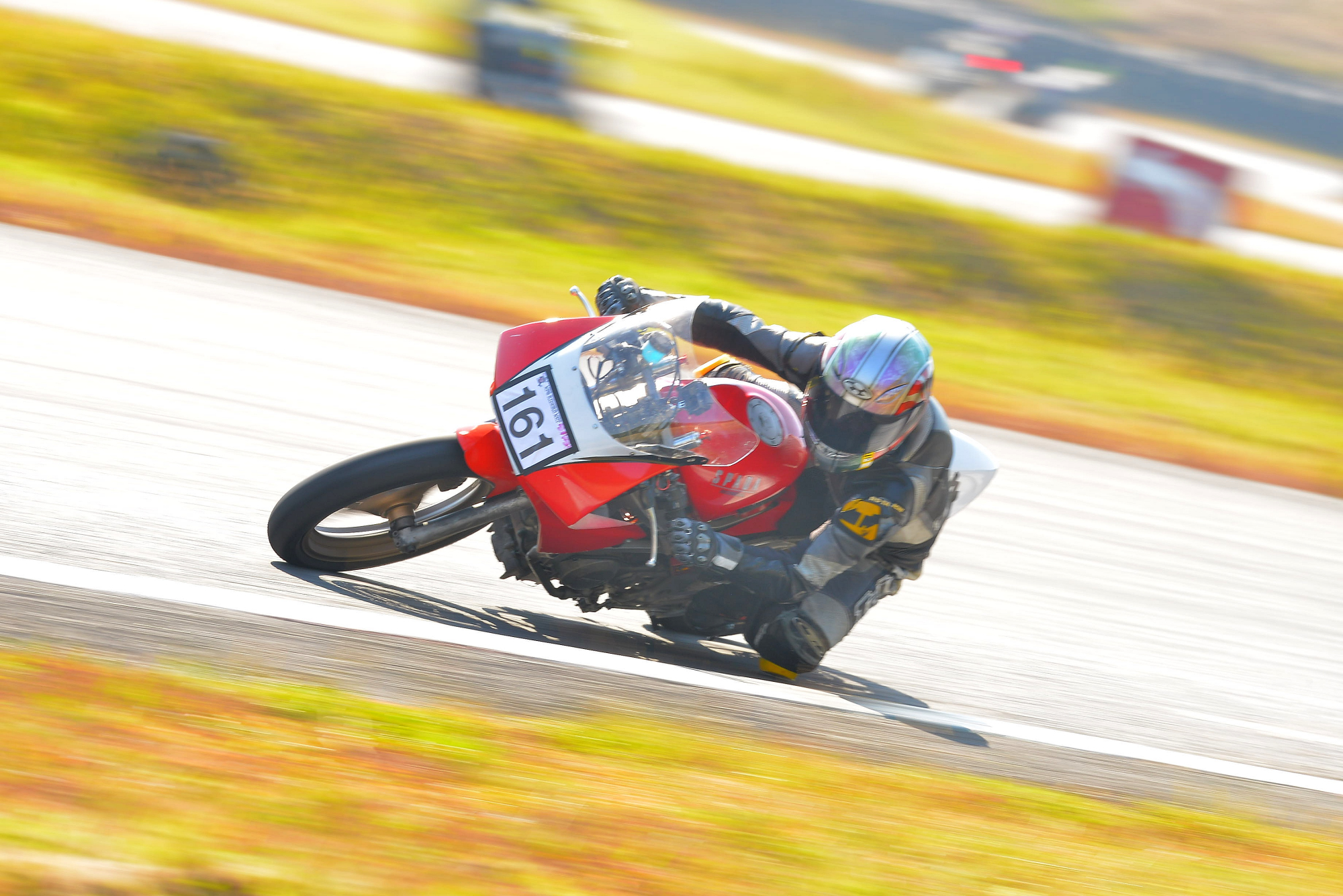 D8J_0432.JPG