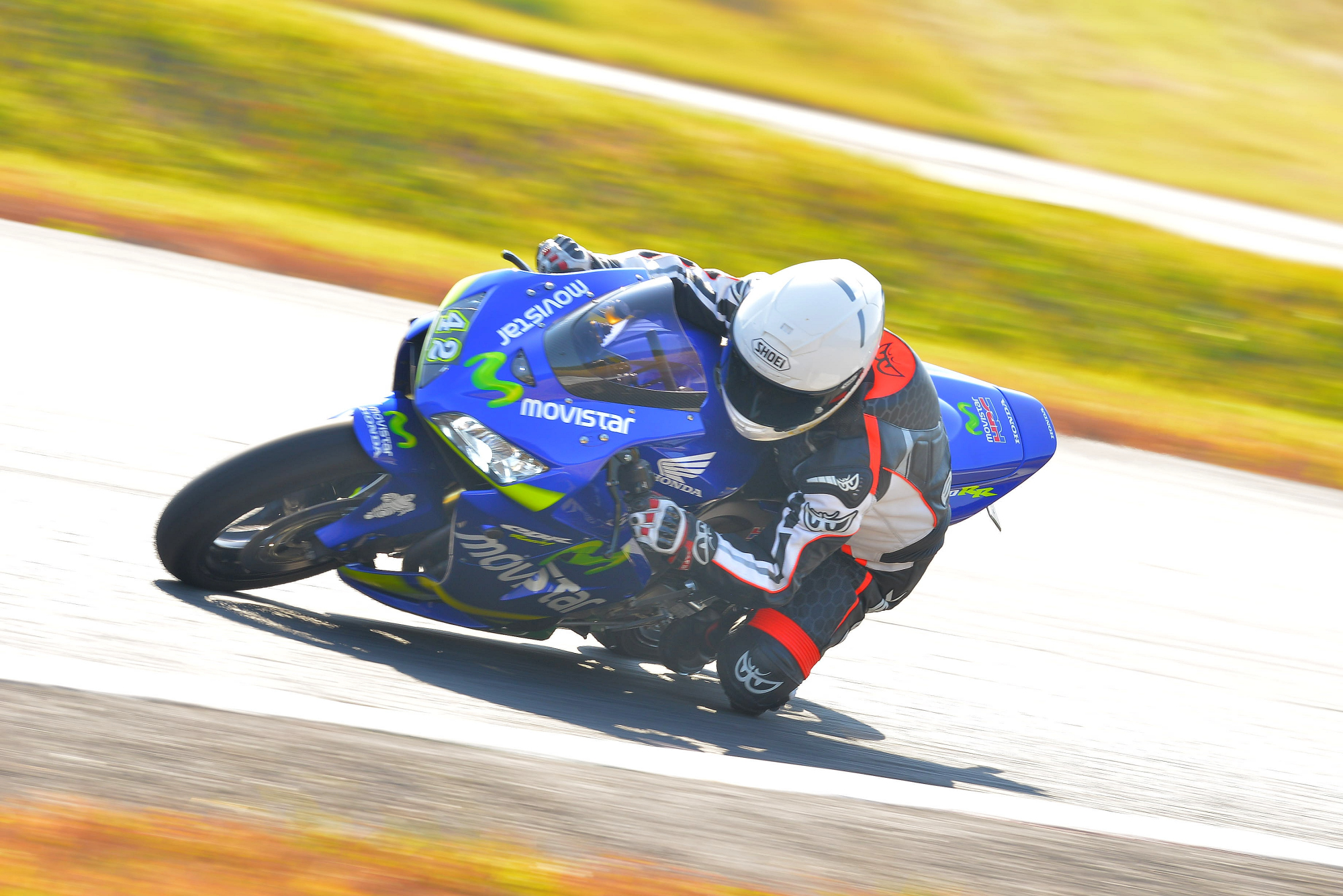 D8J_0447.JPG