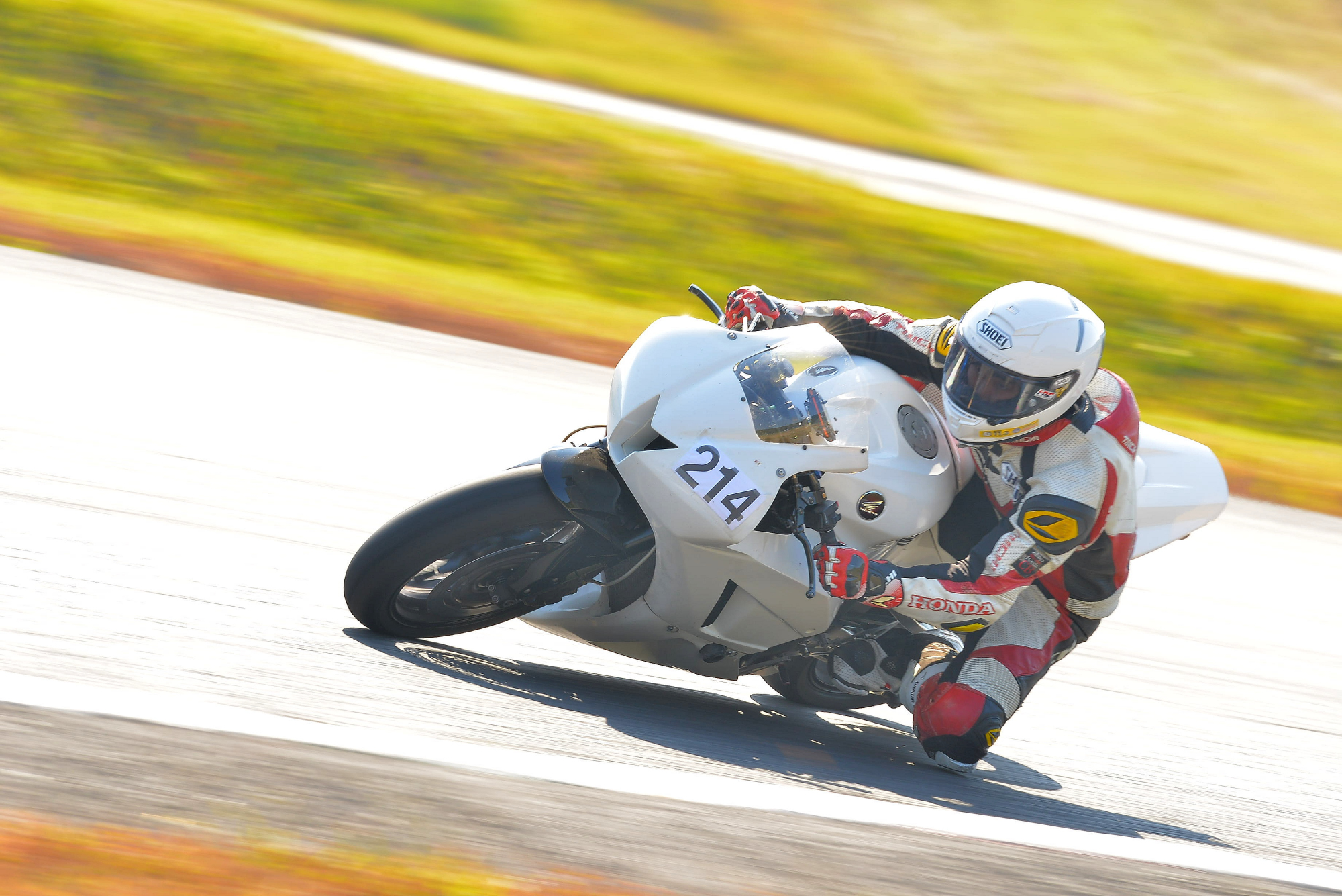 D8J_0448.JPG