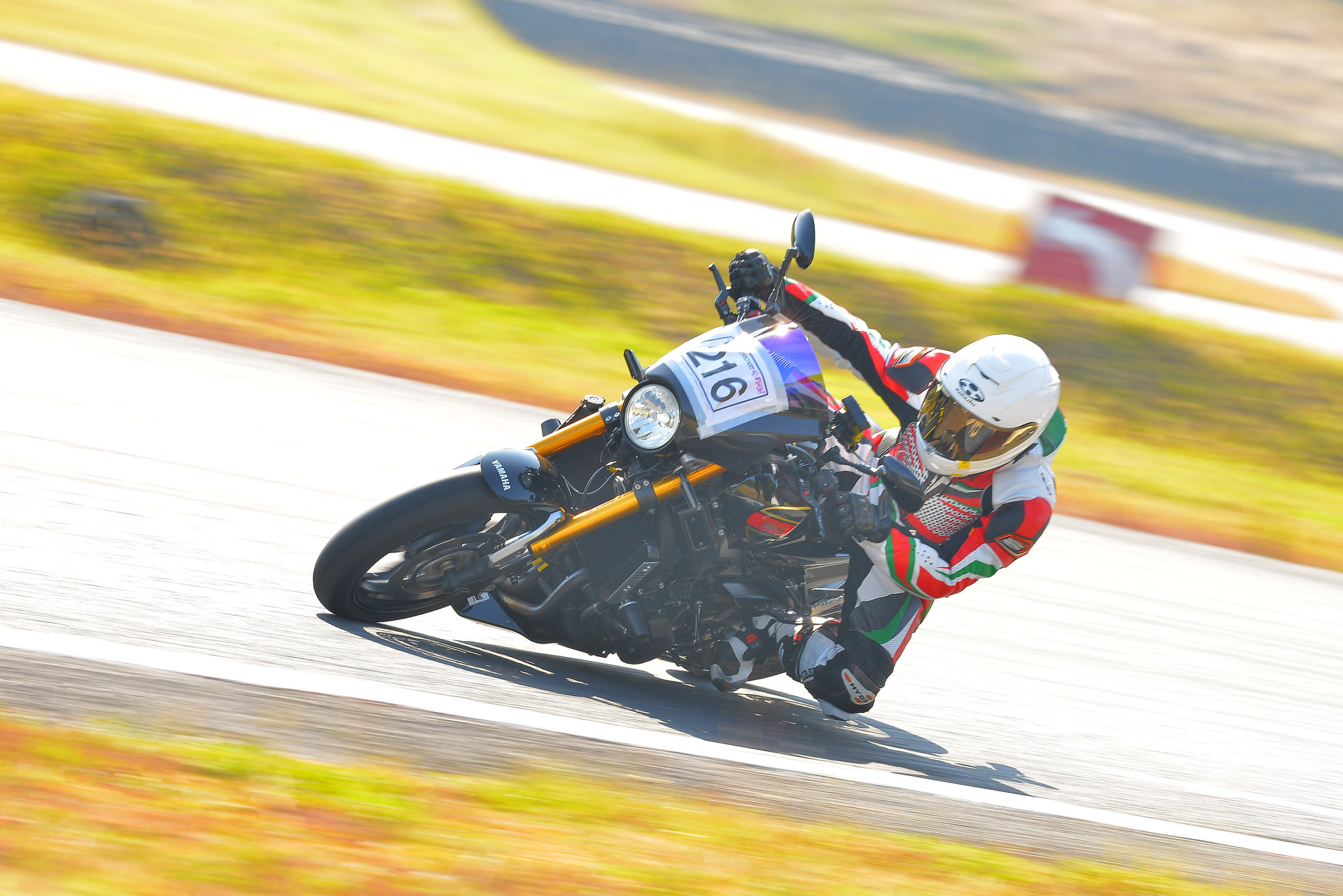D8J_0461.JPG