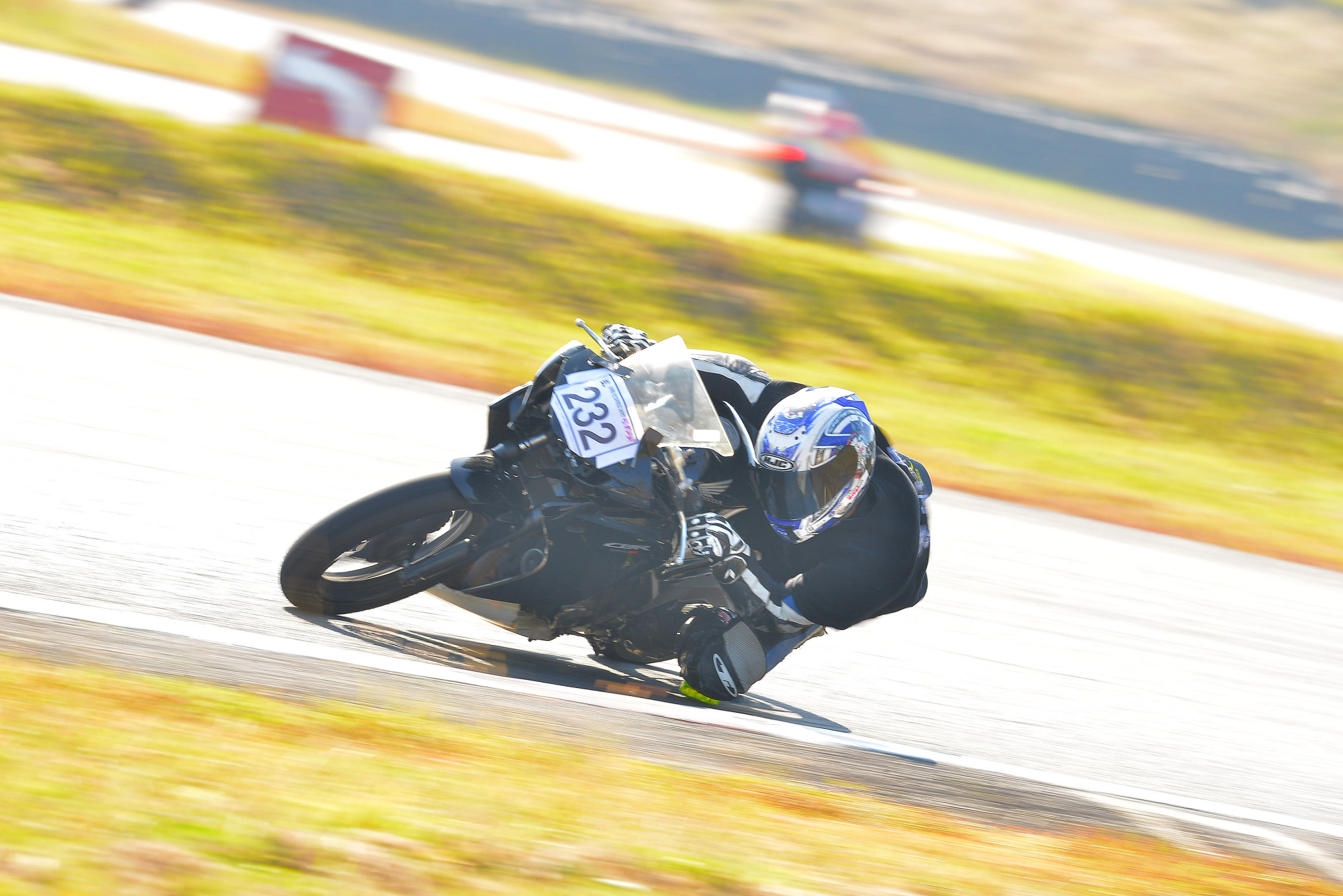 D8J_0465.JPG