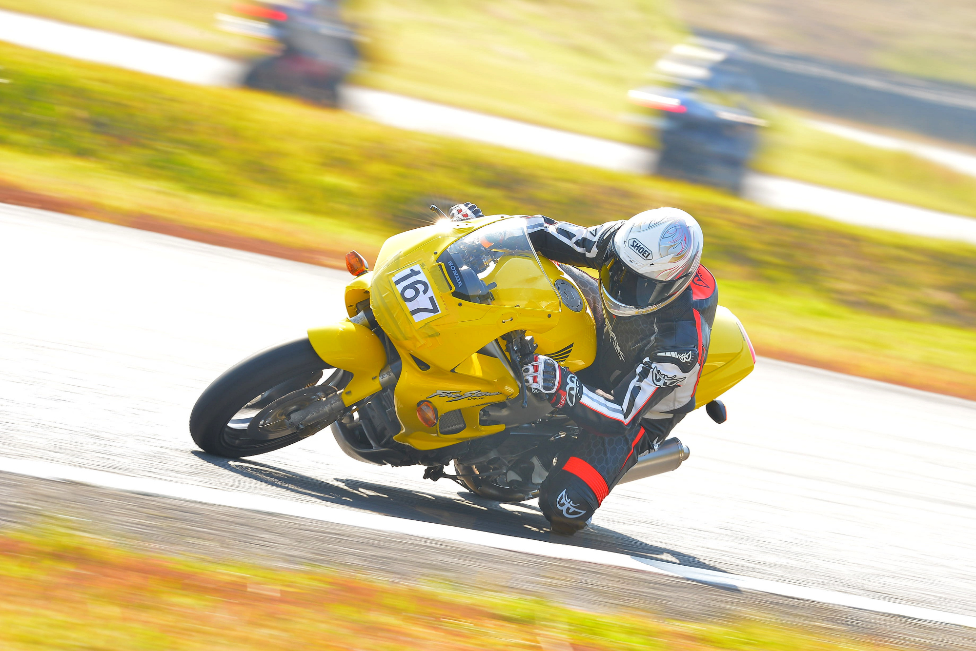 D8J_0466.JPG