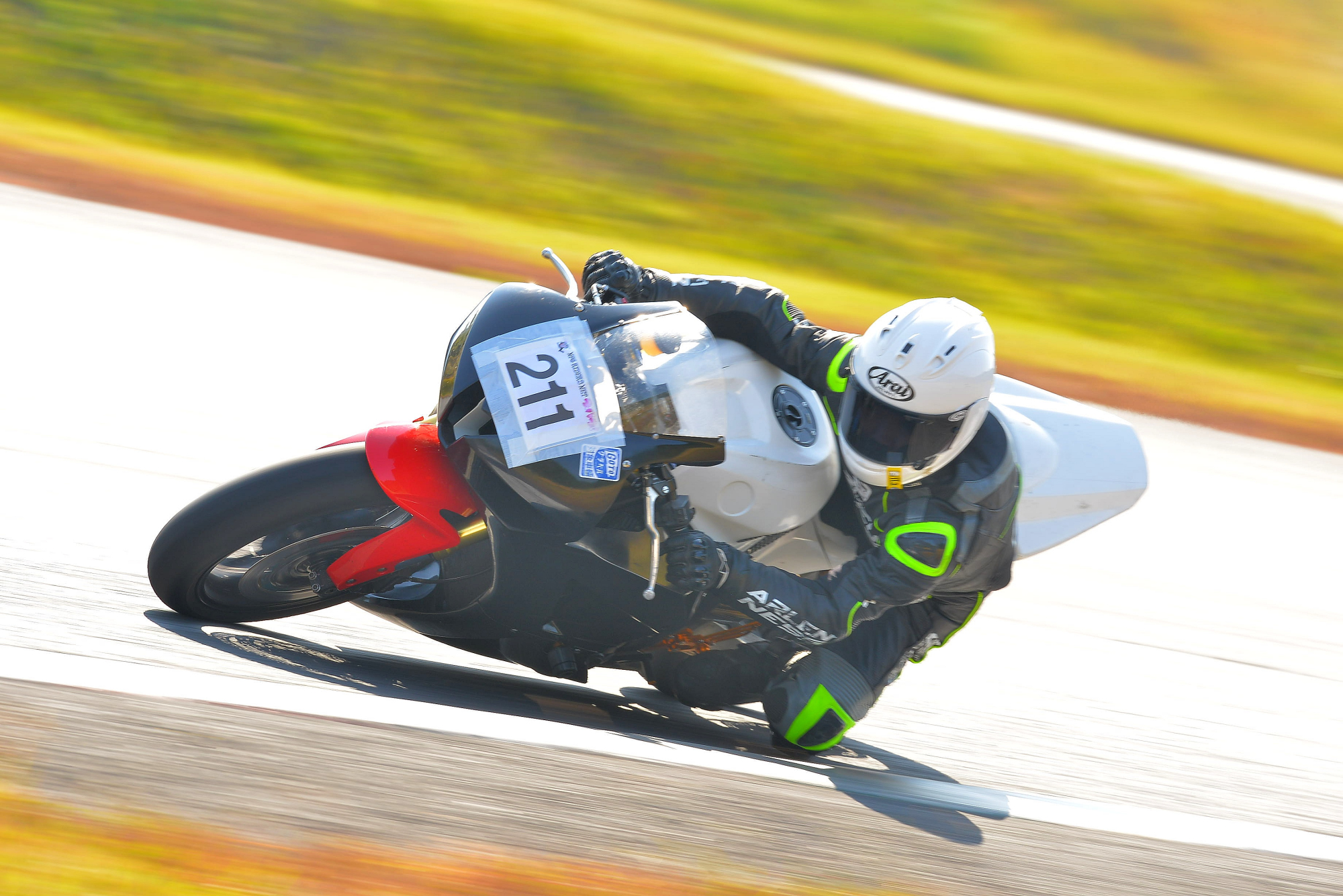 D8J_0484.JPG