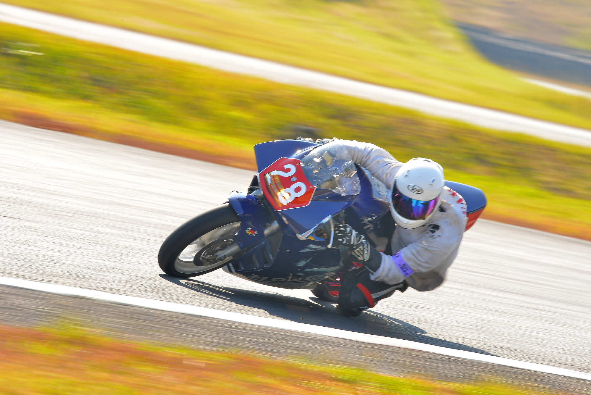 D8J_0485.JPG