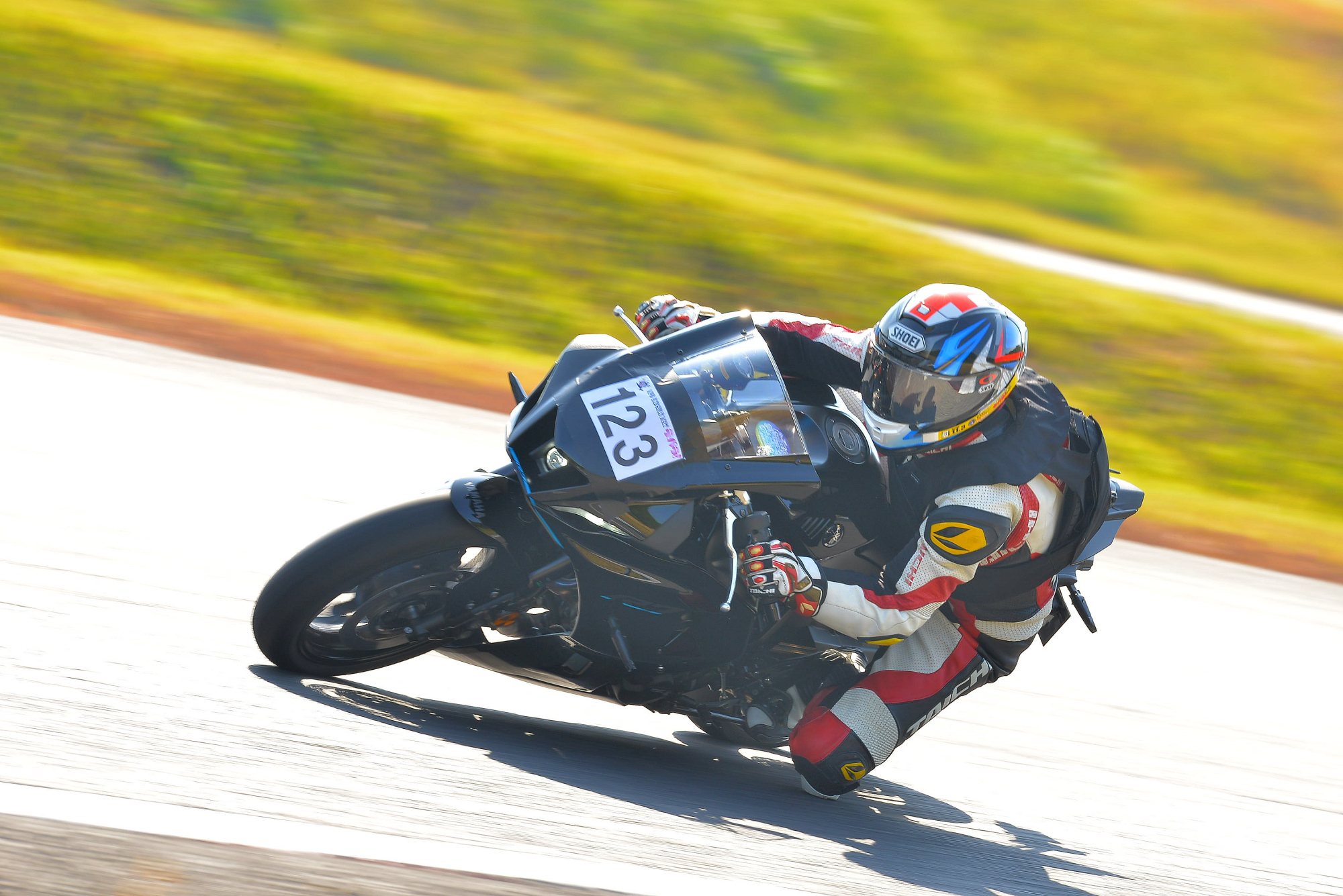 D8J_0489.JPG
