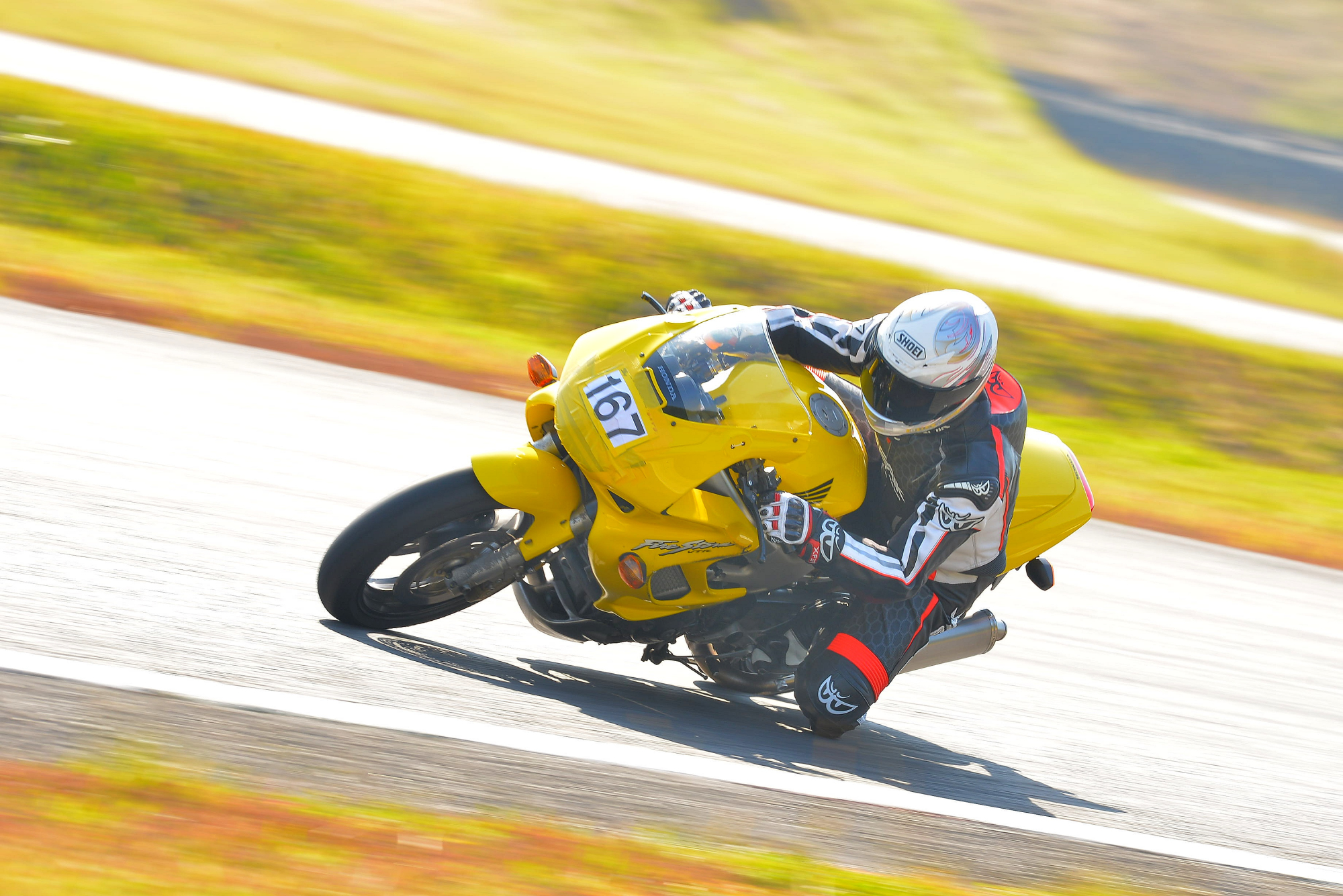 D8J_0491.JPG