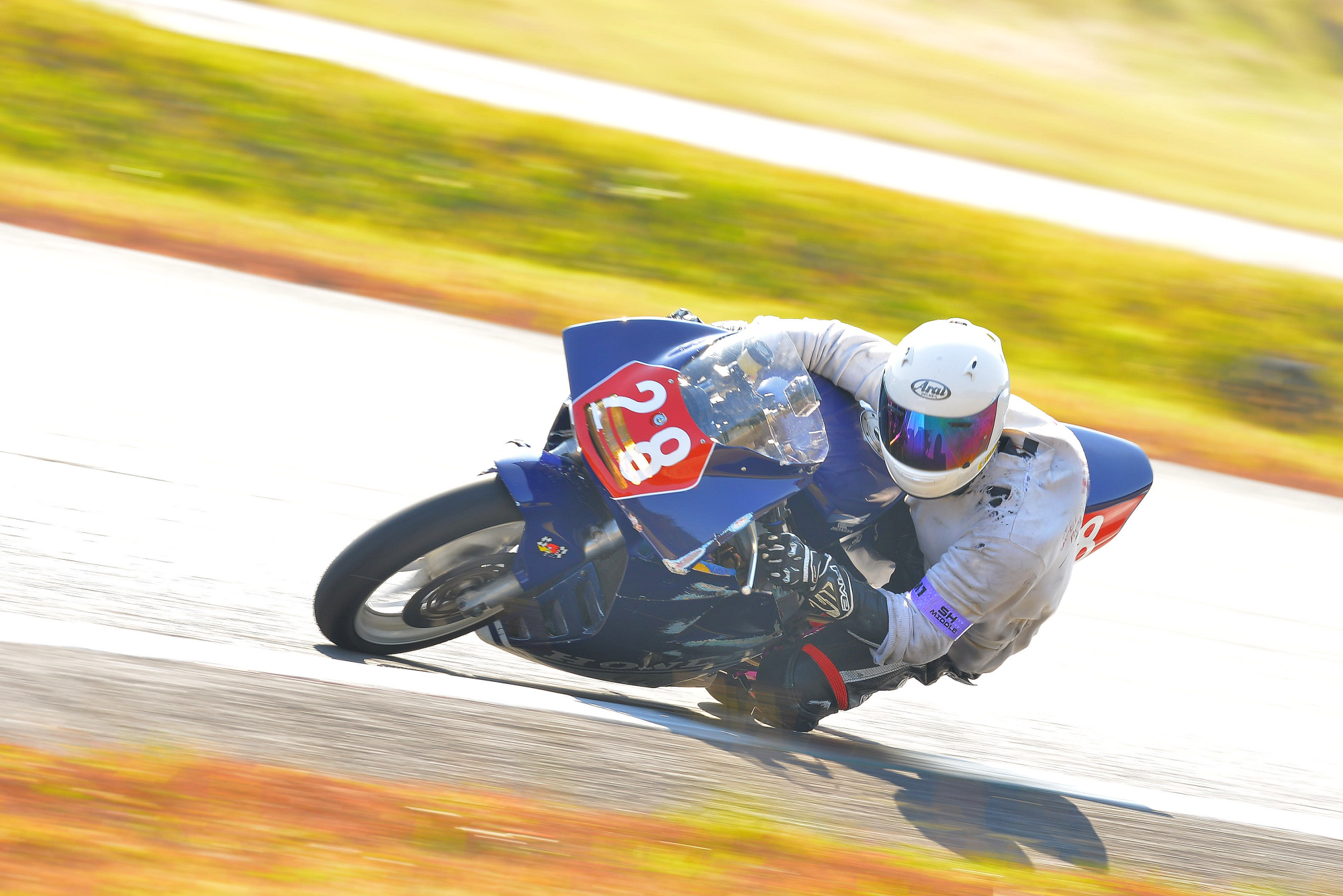 D8J_0520.JPG