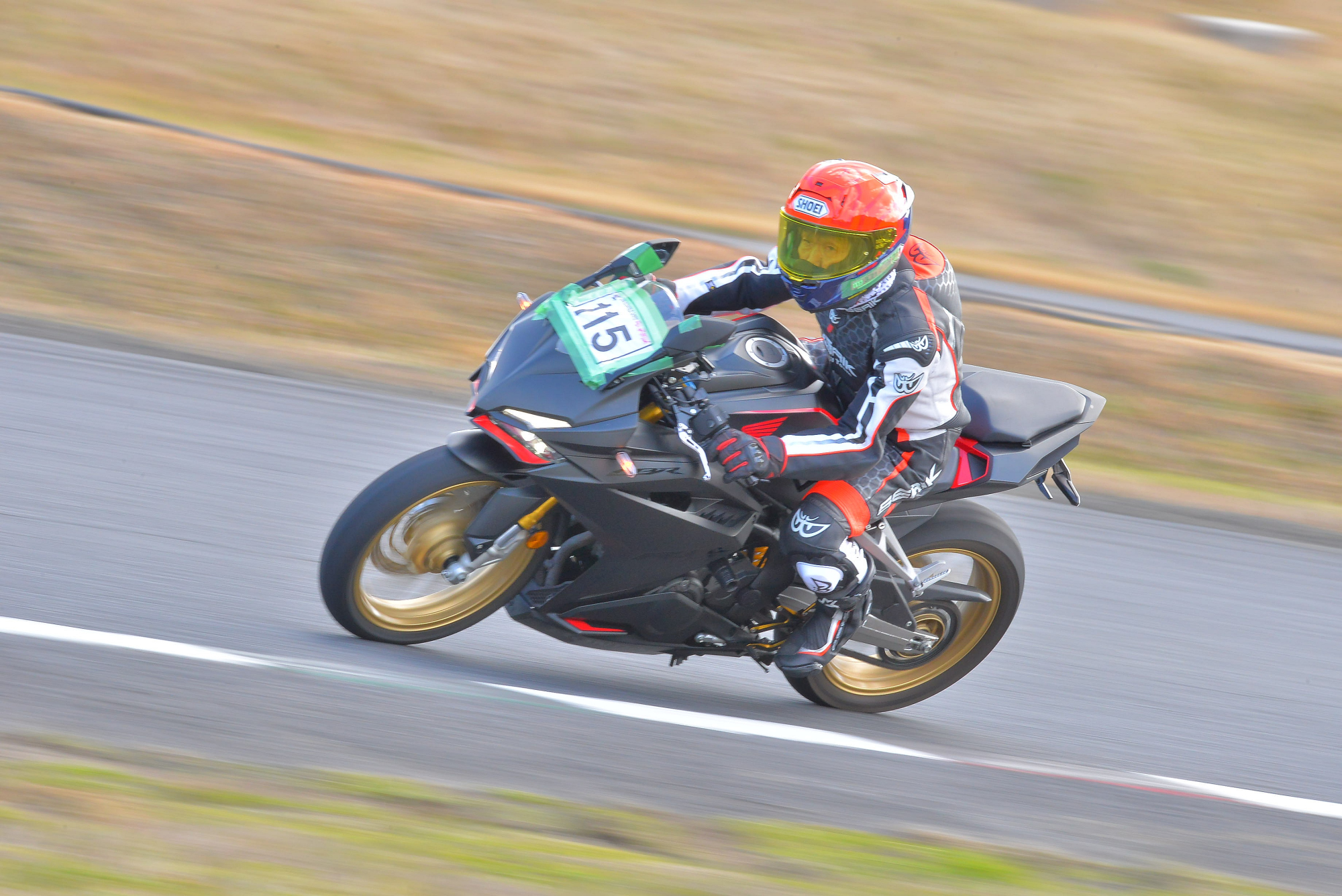 D8J_0853.JPG