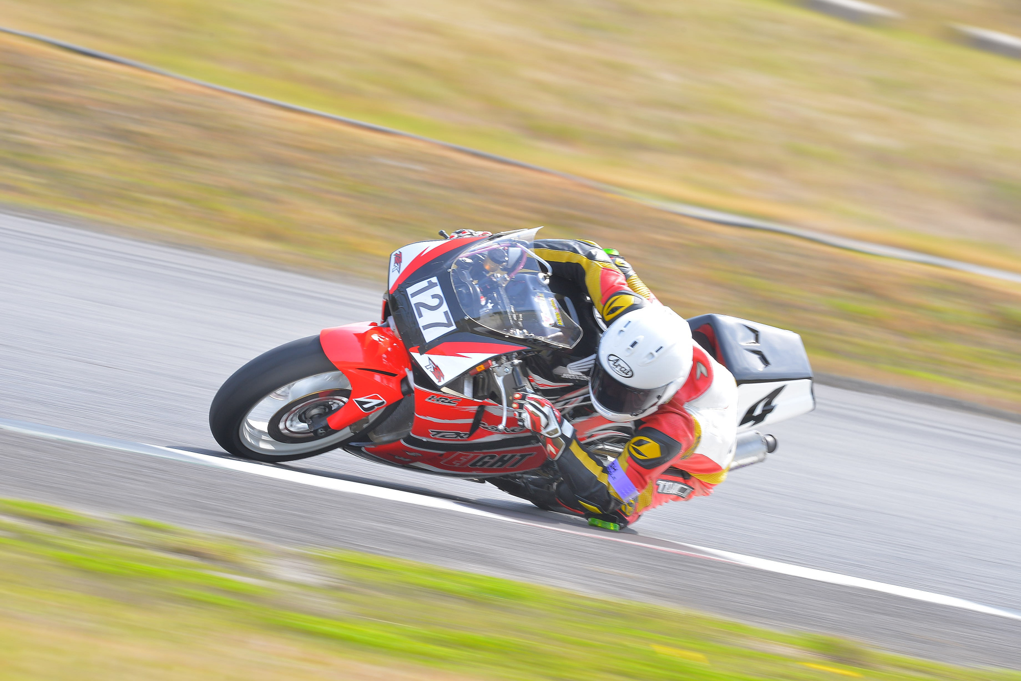D8J_0015.JPG