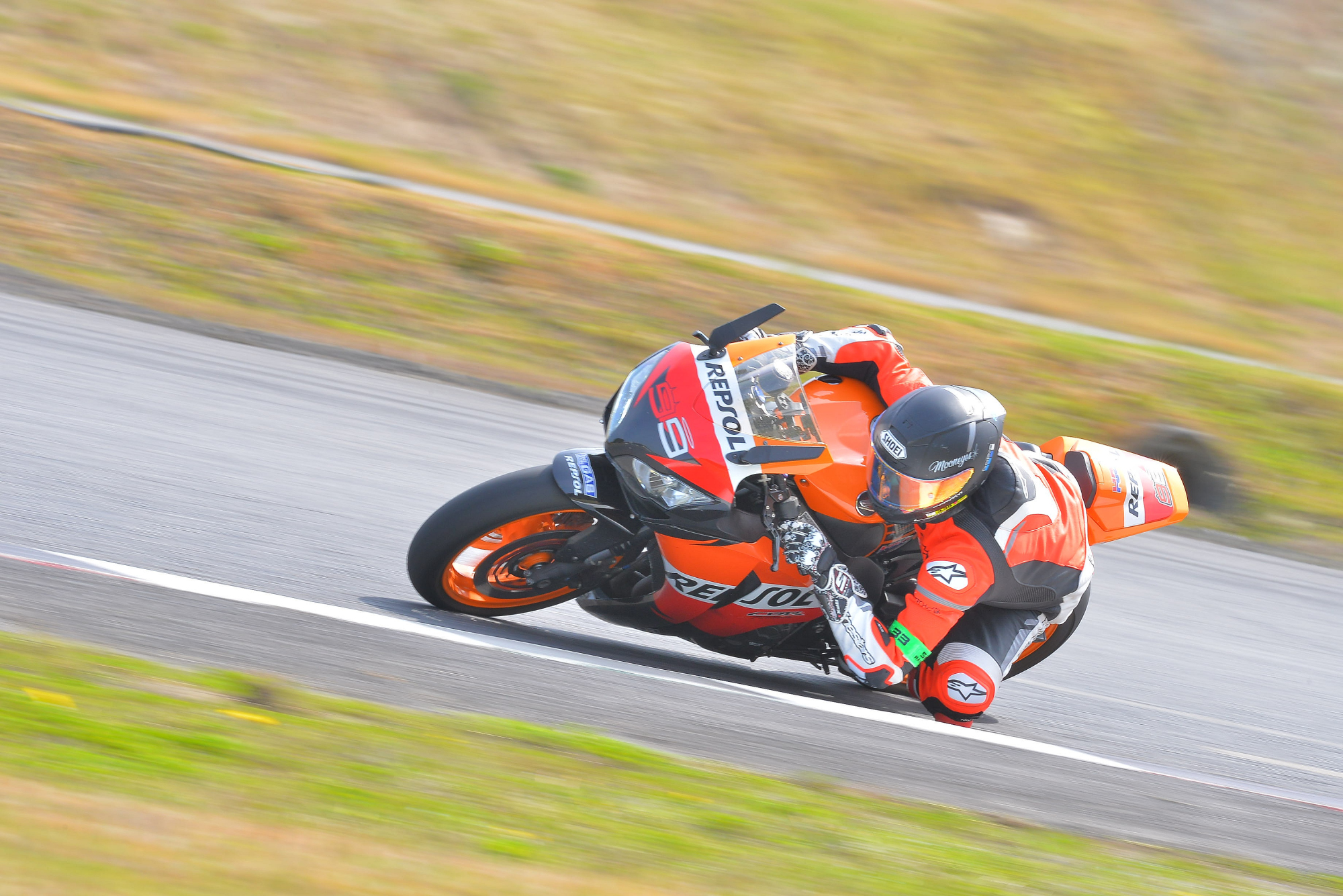 D8J_0037.JPG