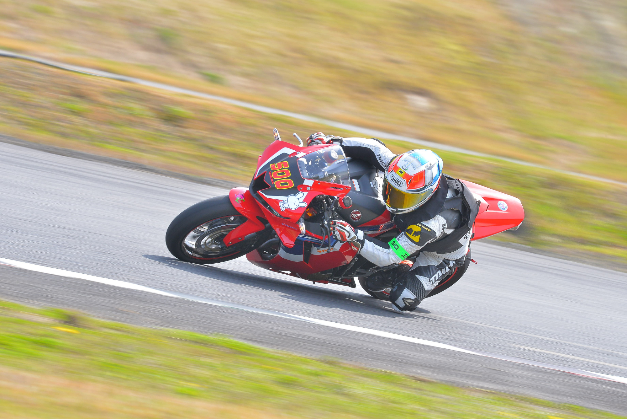 D8J_0044.JPG