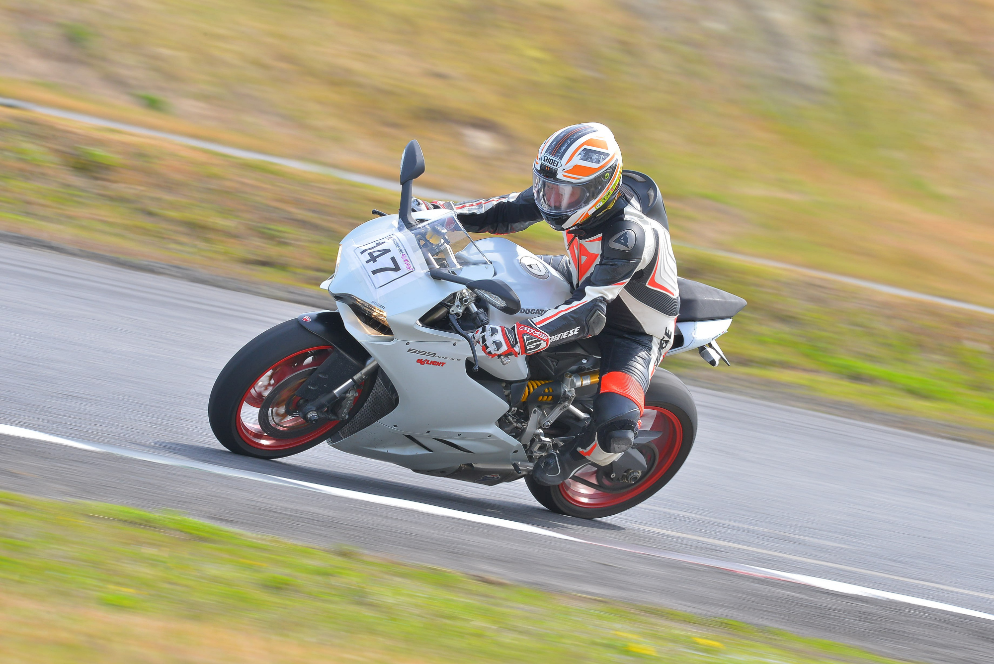 D8J_0102.JPG