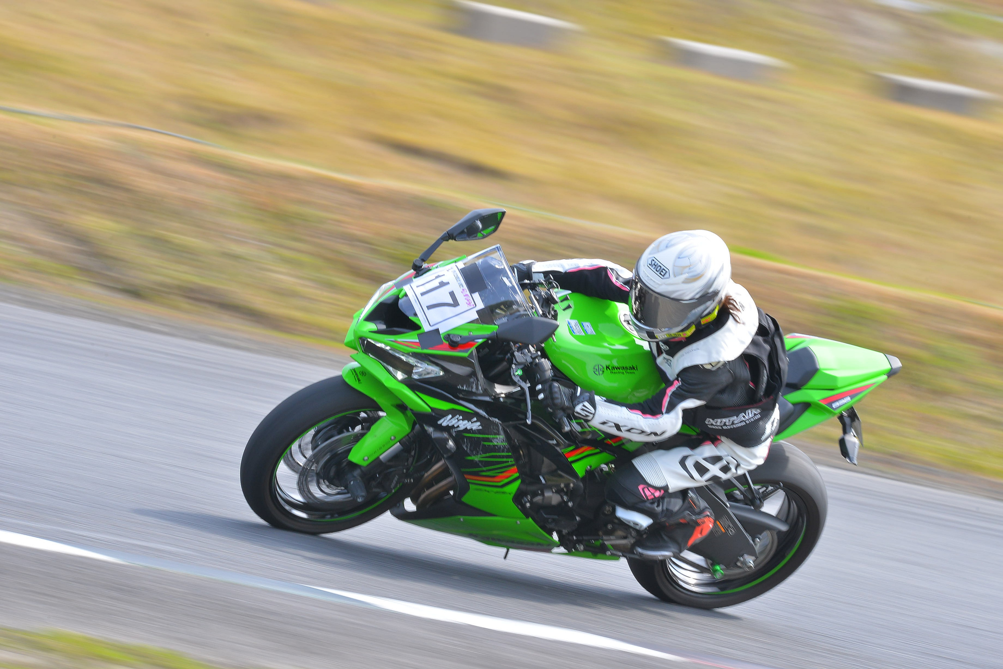 D8J_0138.JPG