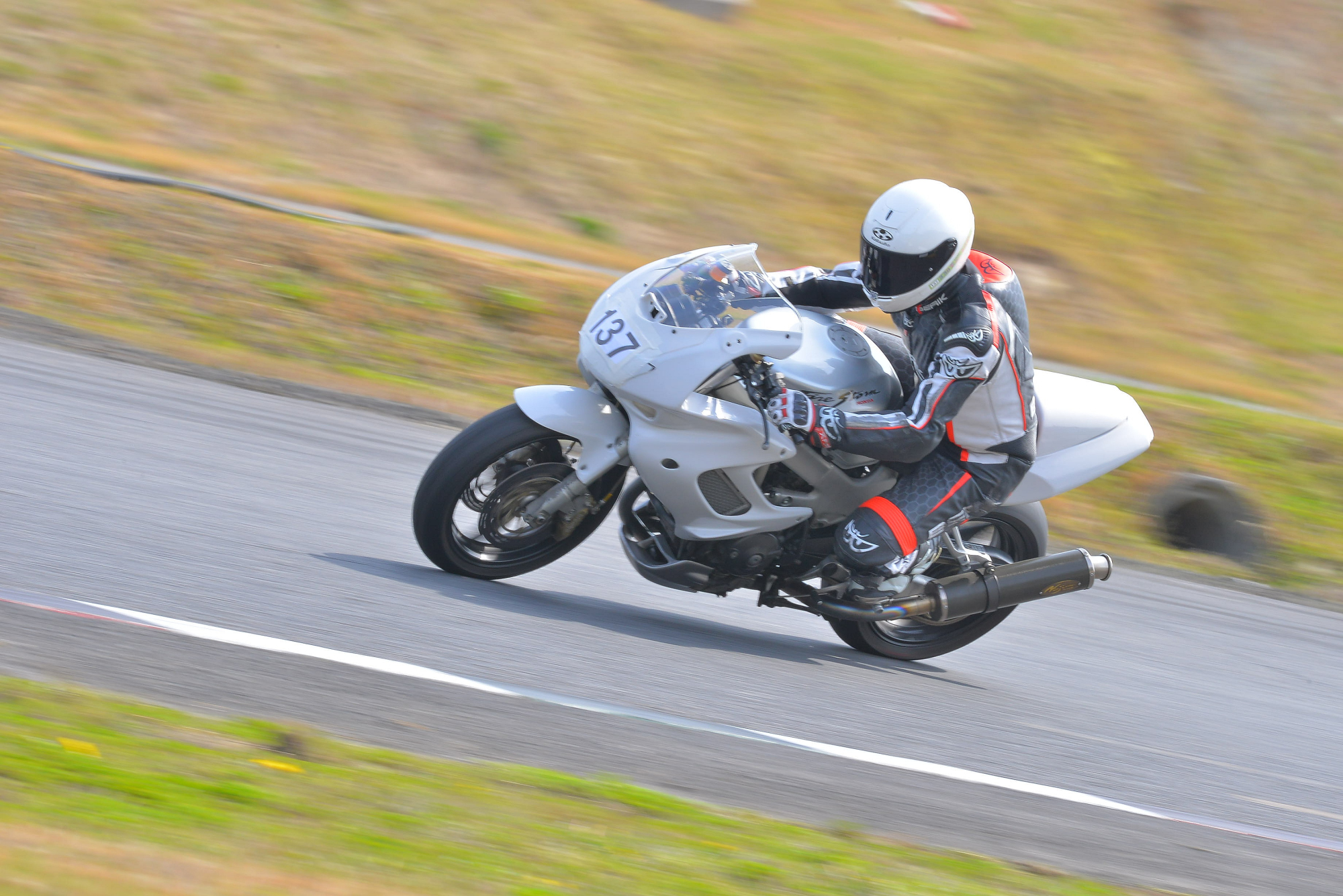 D8J_0278.JPG