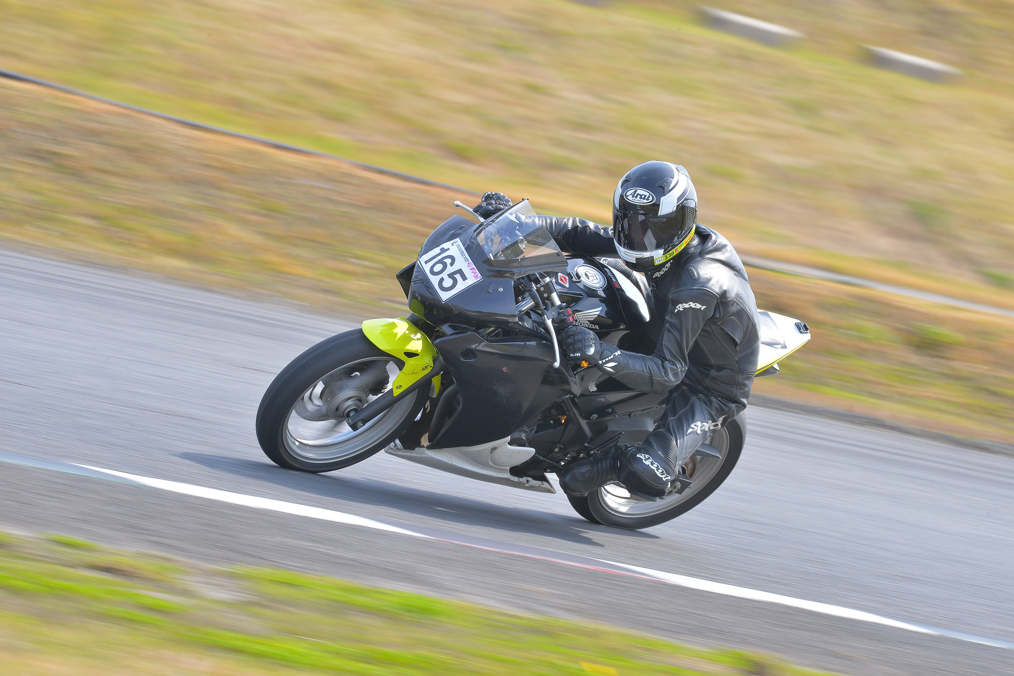 D8J_0296.JPG
