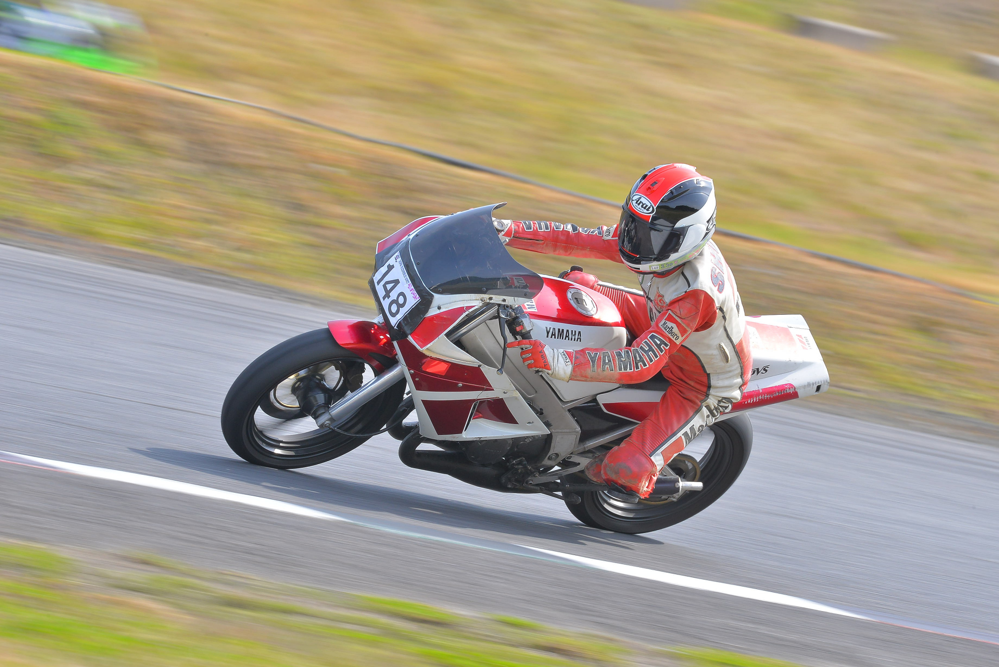 D8J_0299.JPG