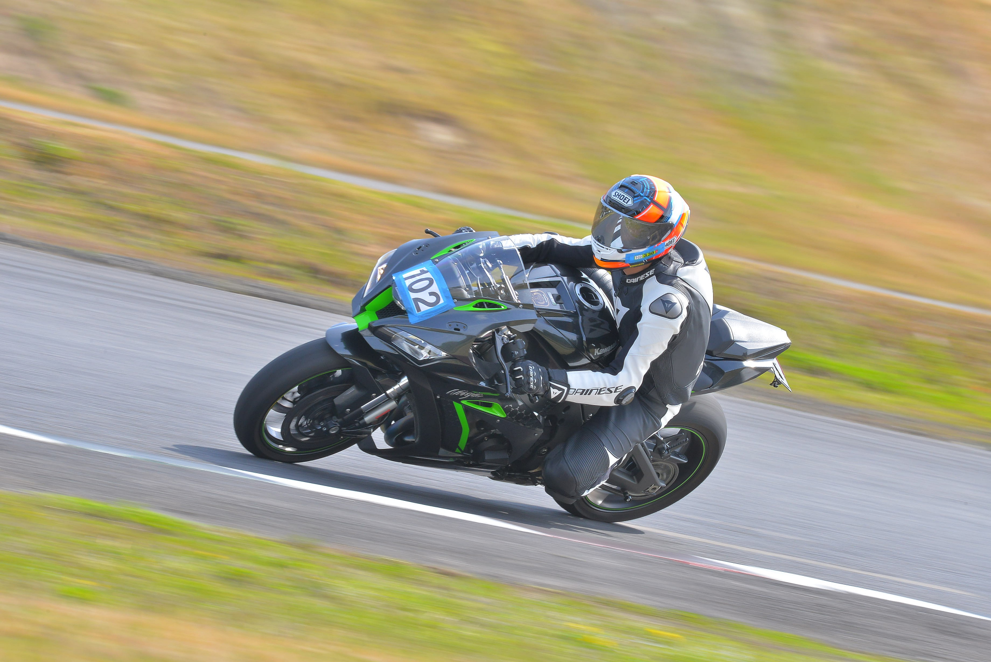 D8J_0319.JPG