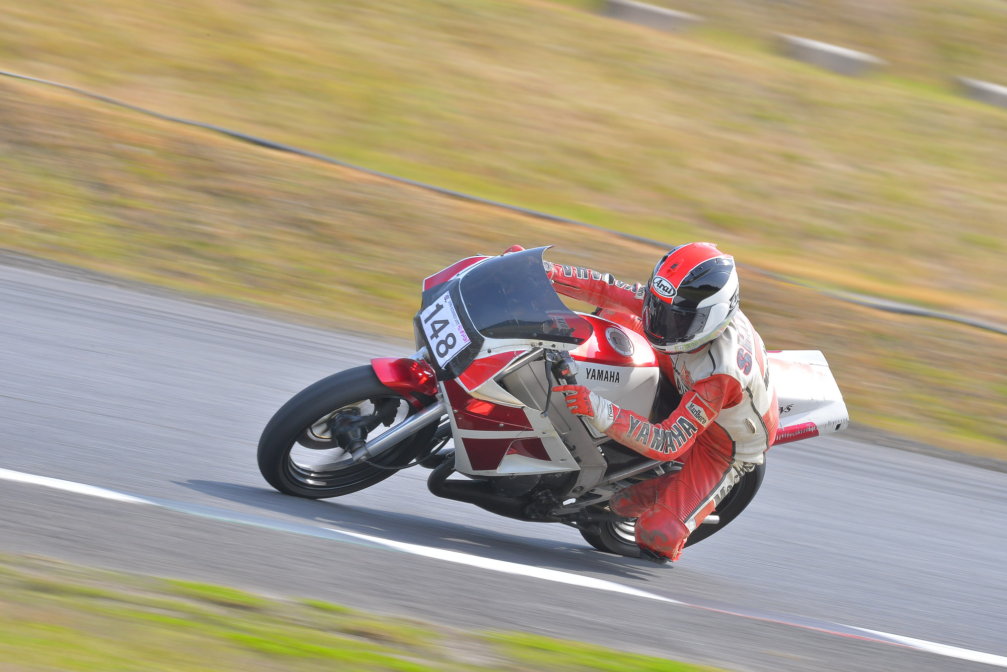 D8J_0335.JPG
