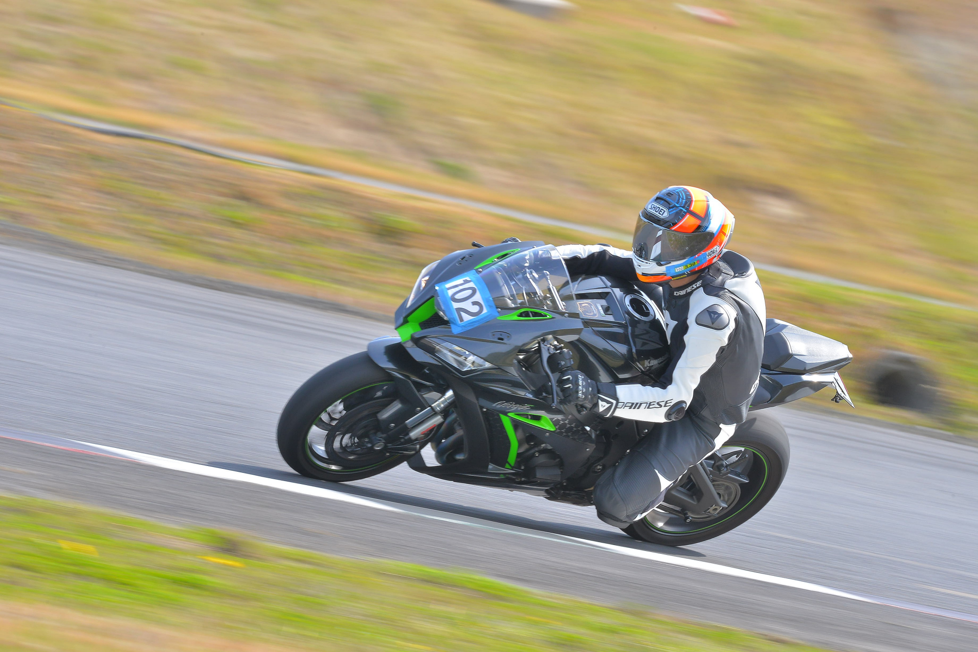 D8J_0337.JPG